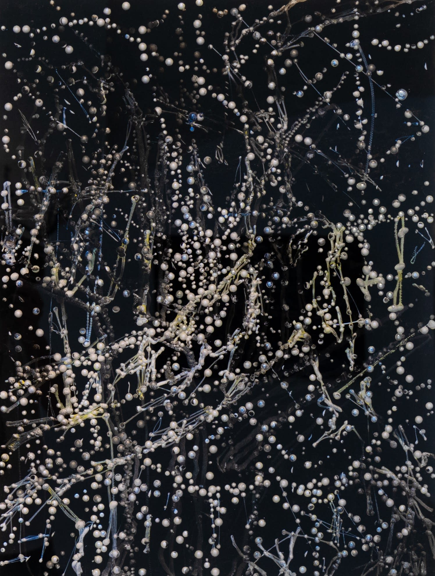 Kim Westcott, Neptune III, 2022