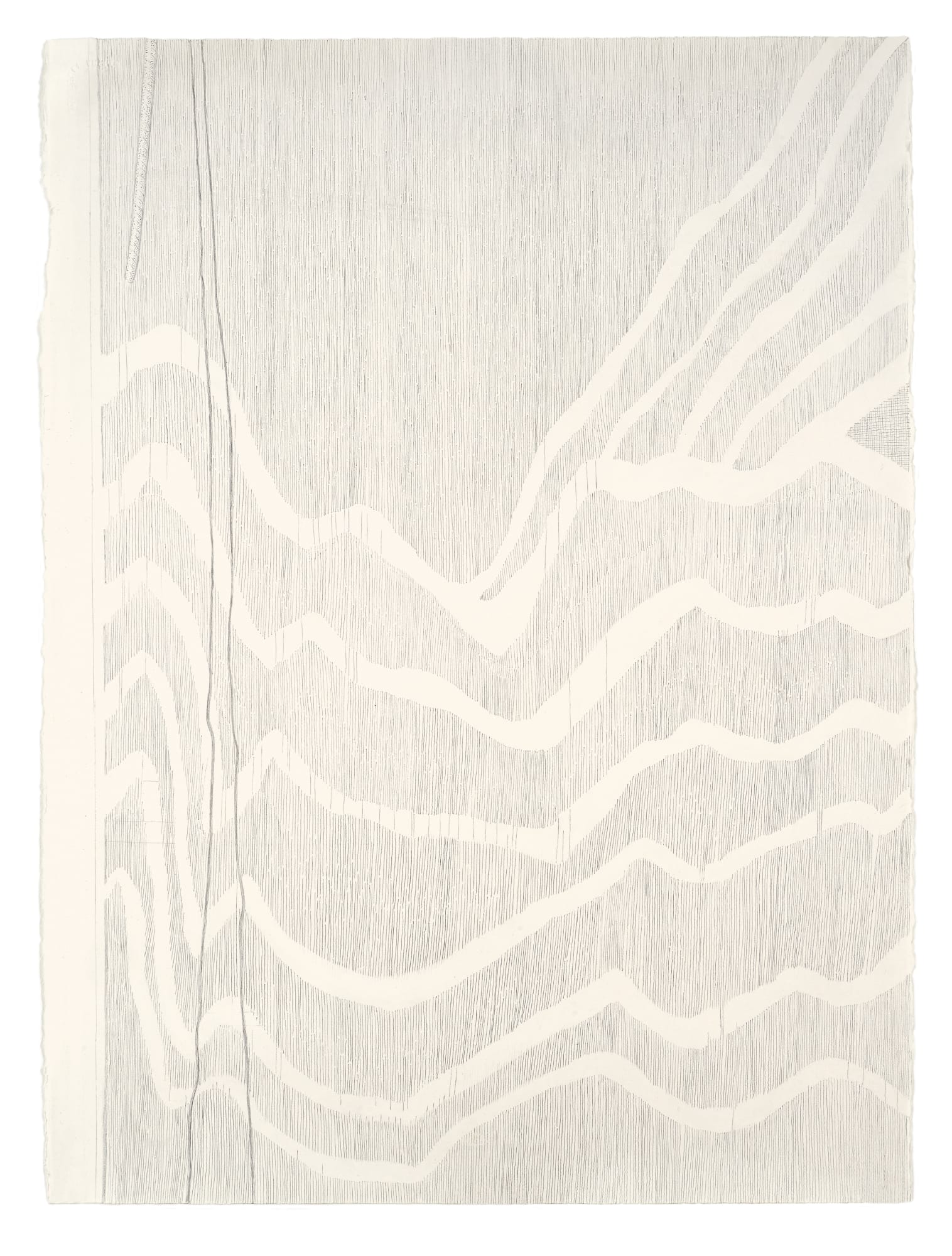 Tarka Kings, Screen Door, 2015