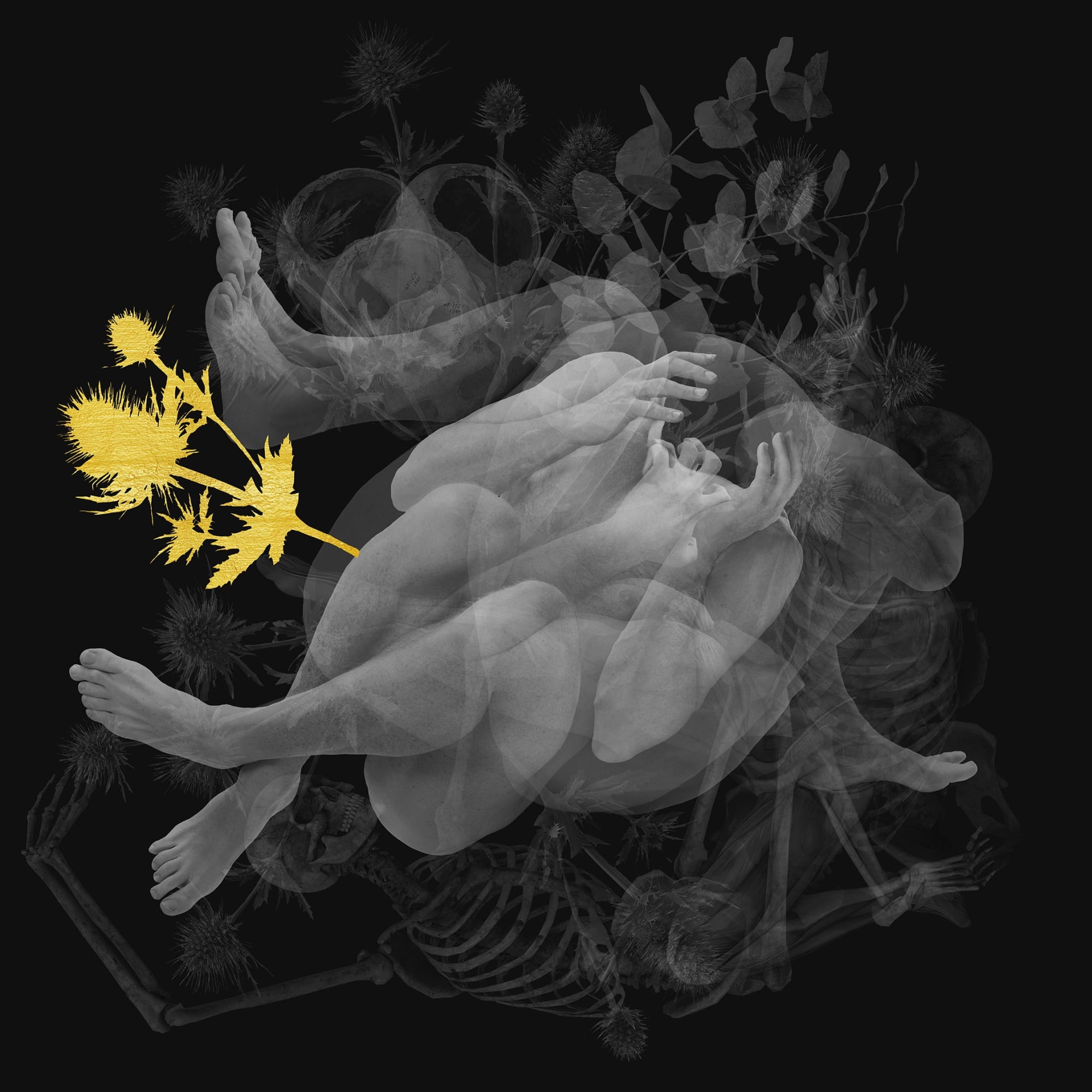 Christophe Canato, Homo Faber - Chardon, 2022