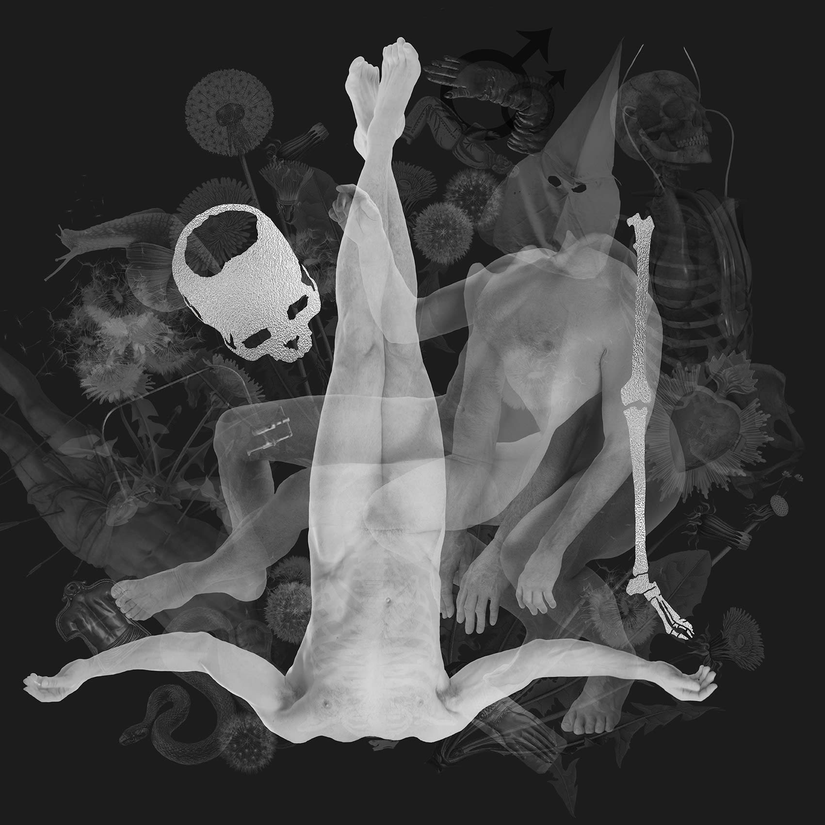 Christophe Canato, Homo Faber - Dandelion, 2022