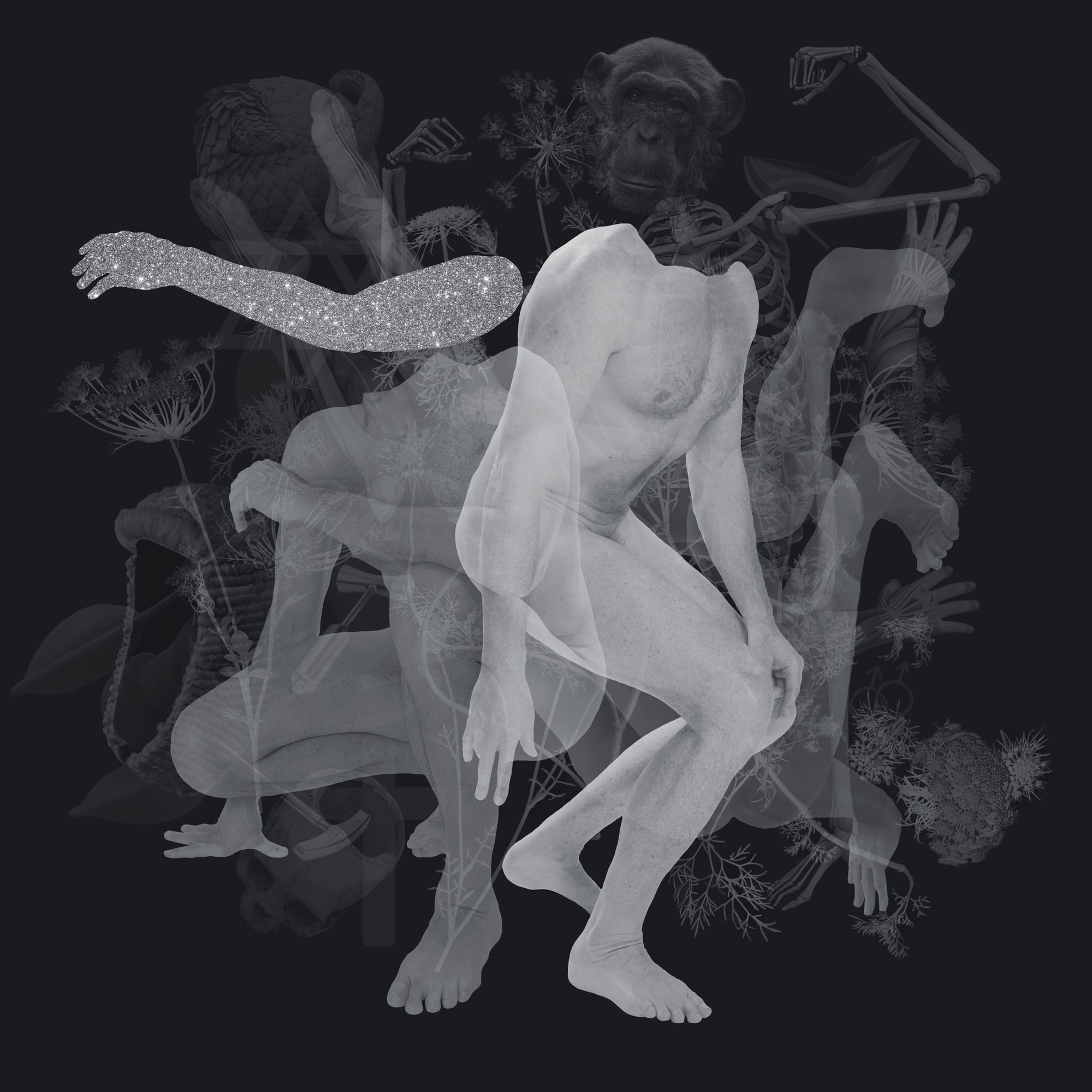 Christophe Canato, Homo Faber - Siguë, 2022