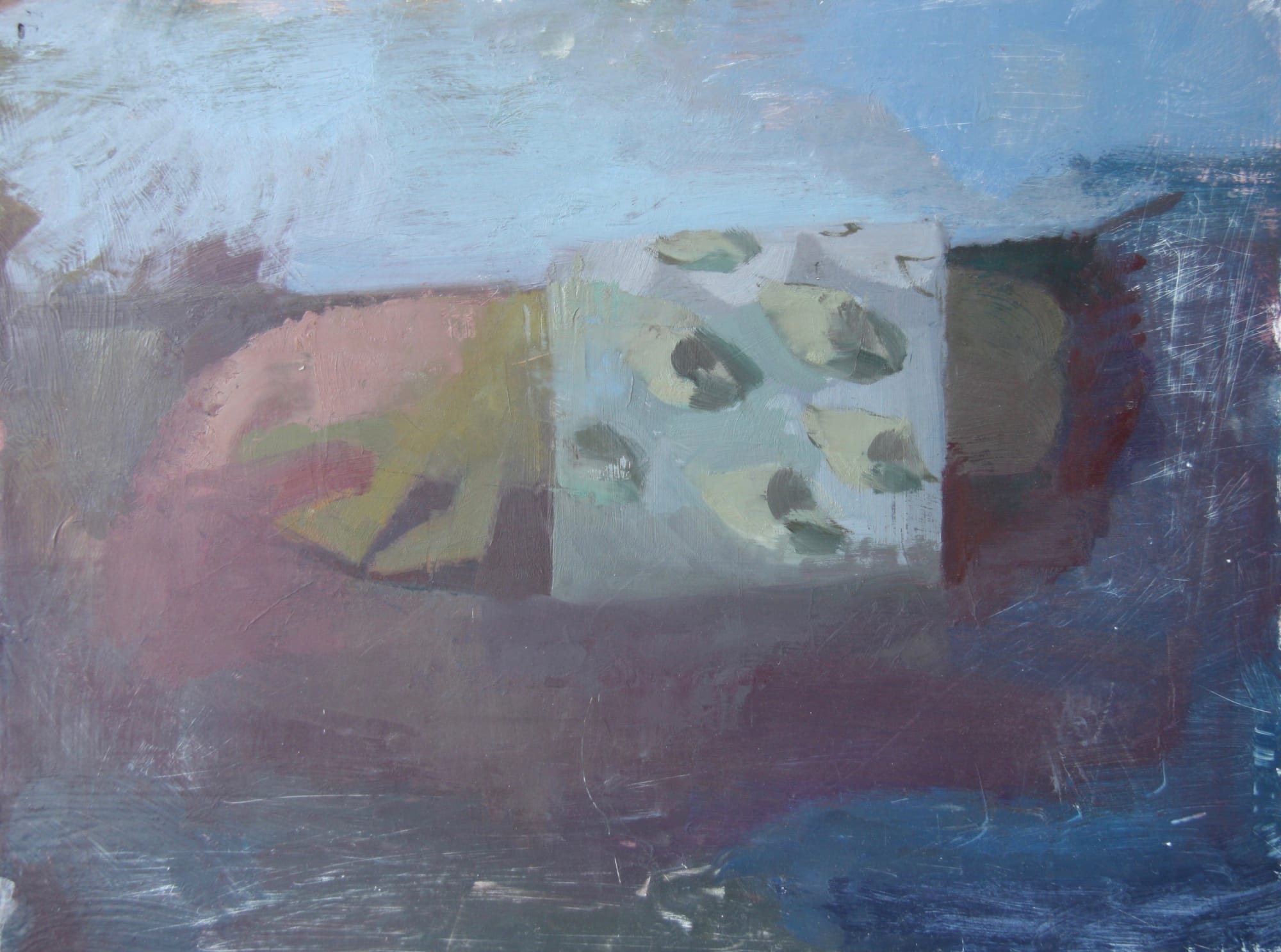 Clare Haward, Shellbed , 2022