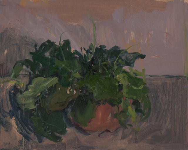 Serena Rowe, Gerbera, 2021