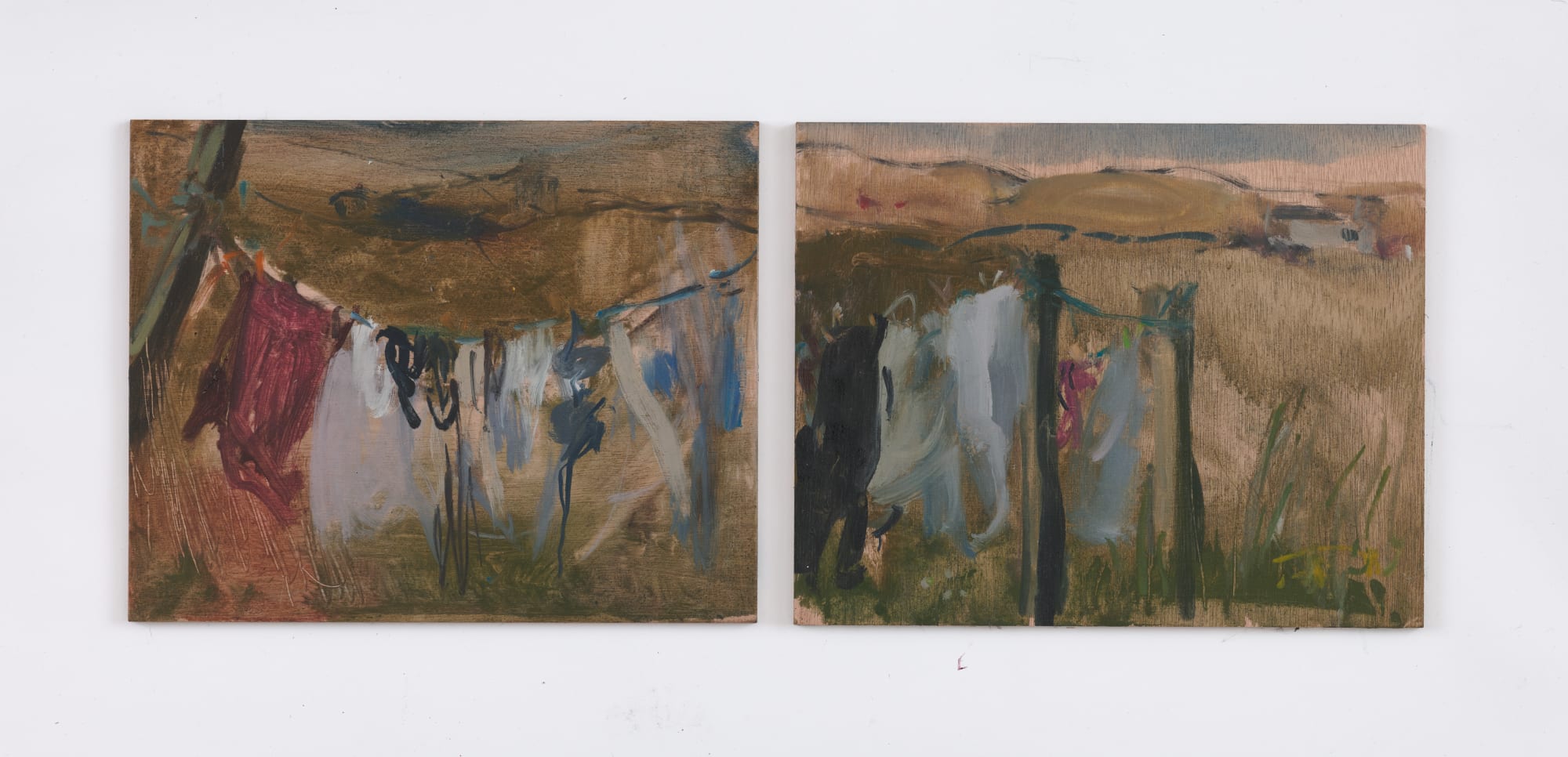 Serena Rowe, Washing Line in Catterline and the Watchie, 2021