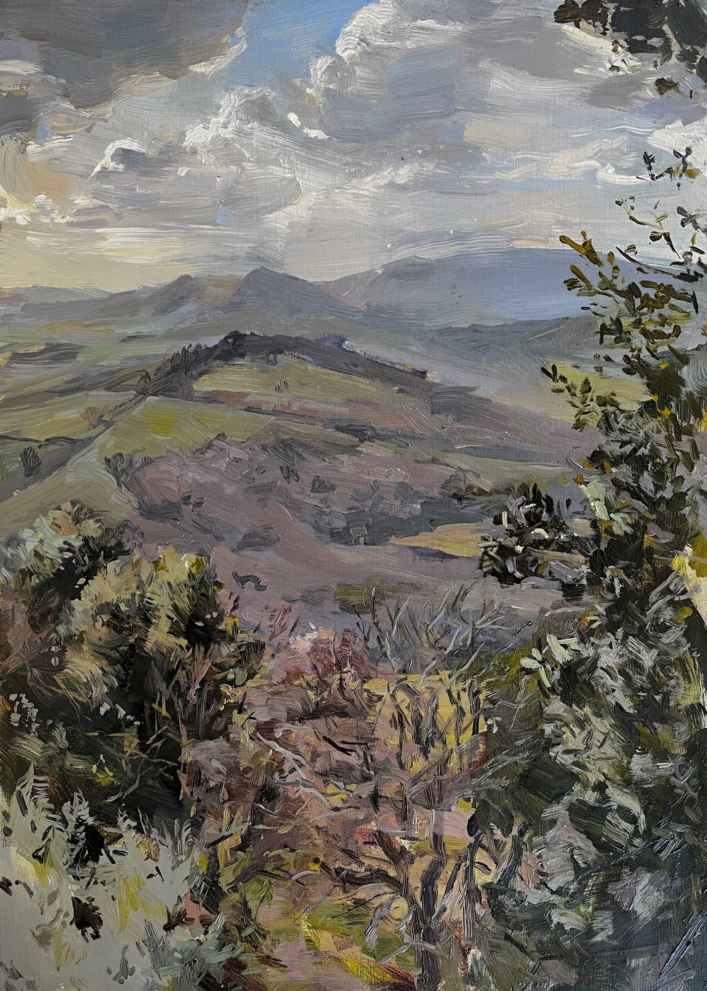 Tim Patrick, Vista, 2023