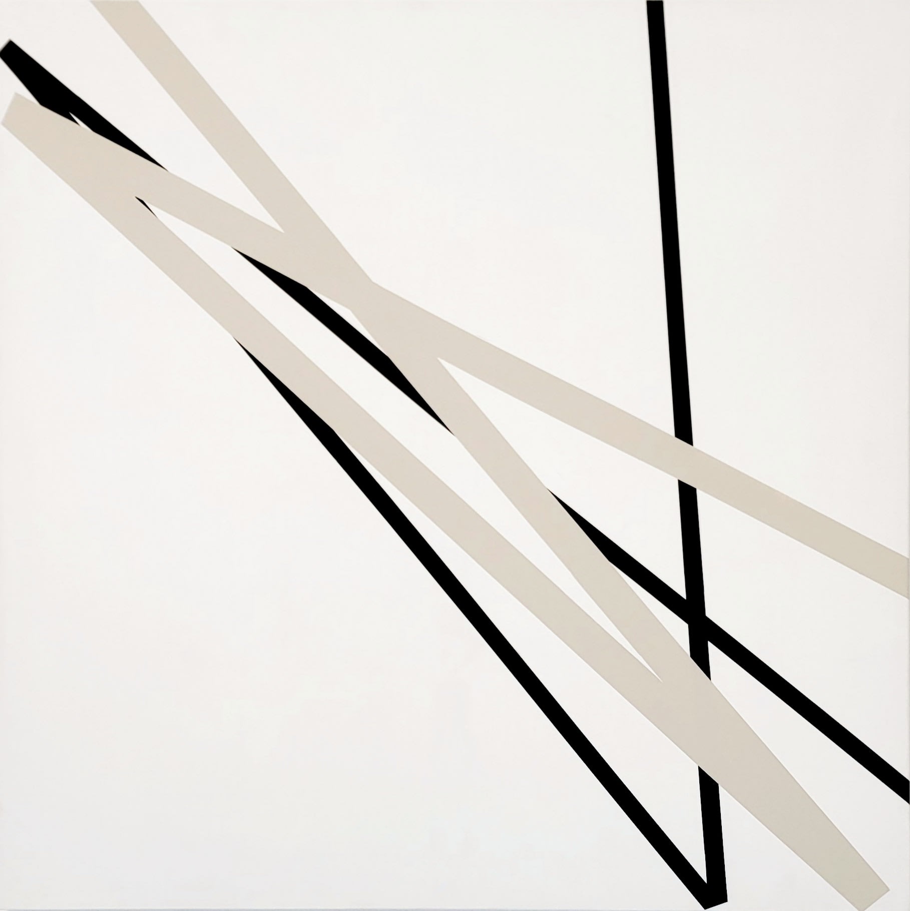 Vera MOLNAR, L'ombre prend le dessus, 2005