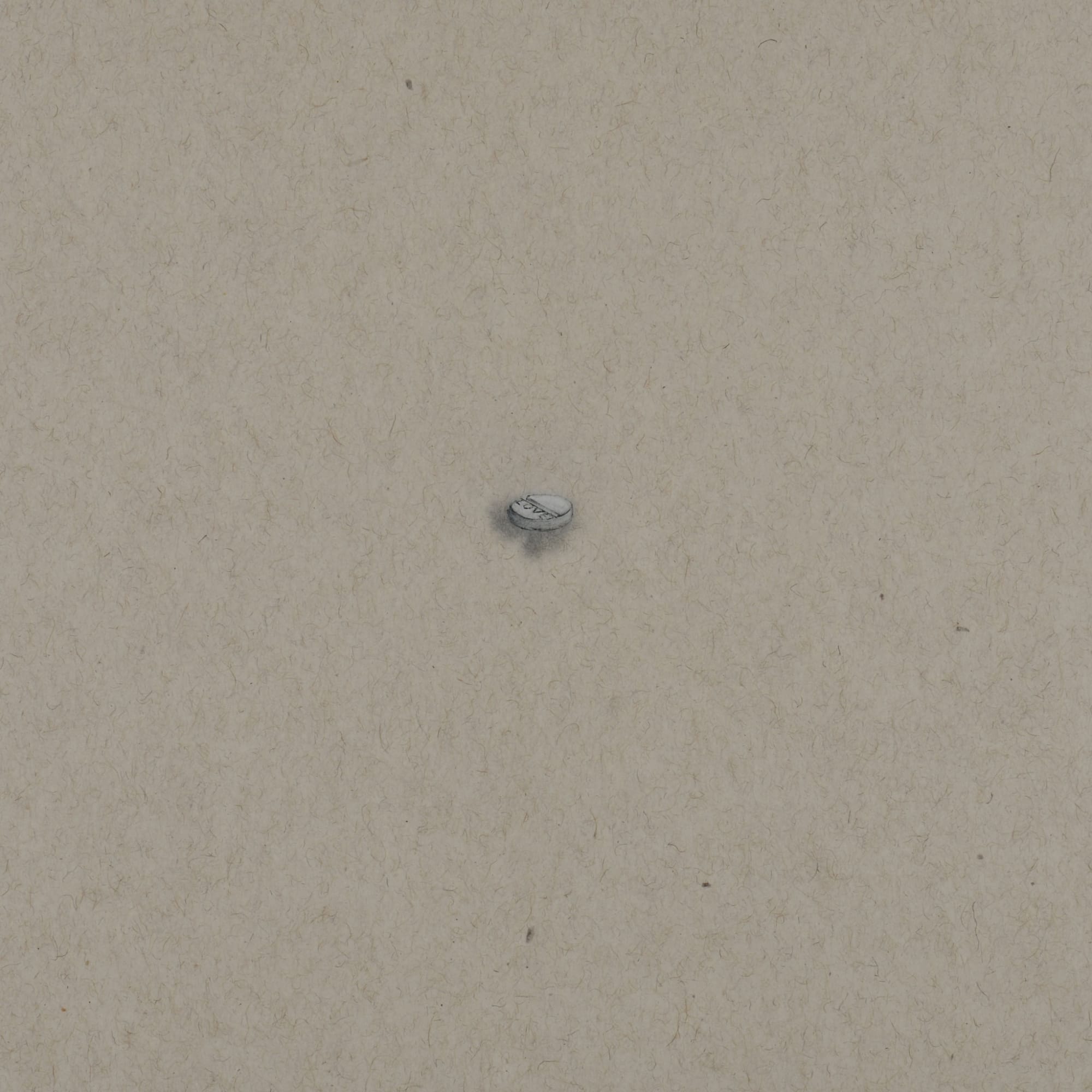 Zhang Yanzi 章燕紫, Registration (169) 掛號 (169), 2014