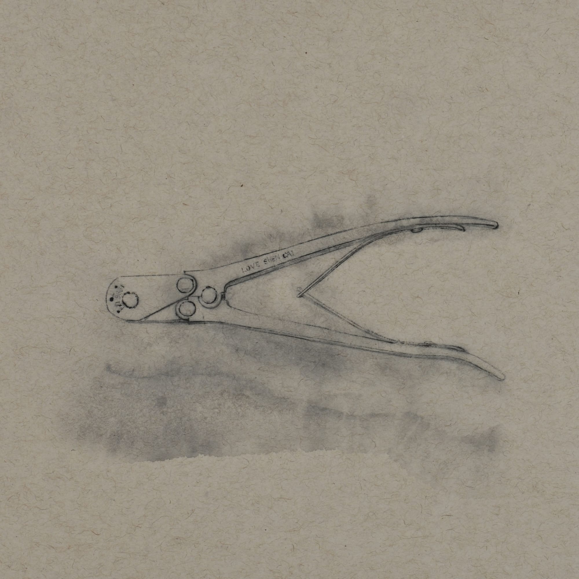 Zhang Yanzi 章燕紫, Registration (200) 掛號 (200), 2014