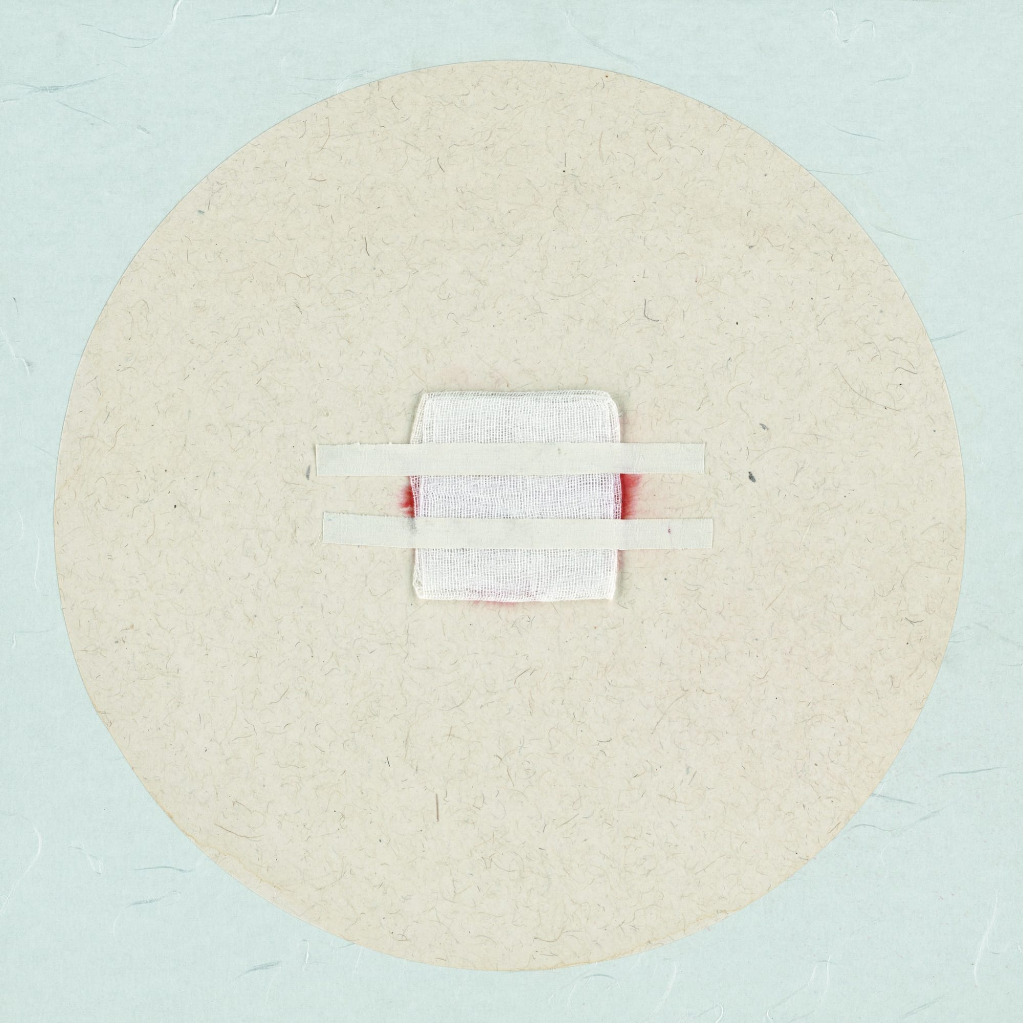 Zhang Yanzi 章燕紫, Registration 掛號, 2009-2013