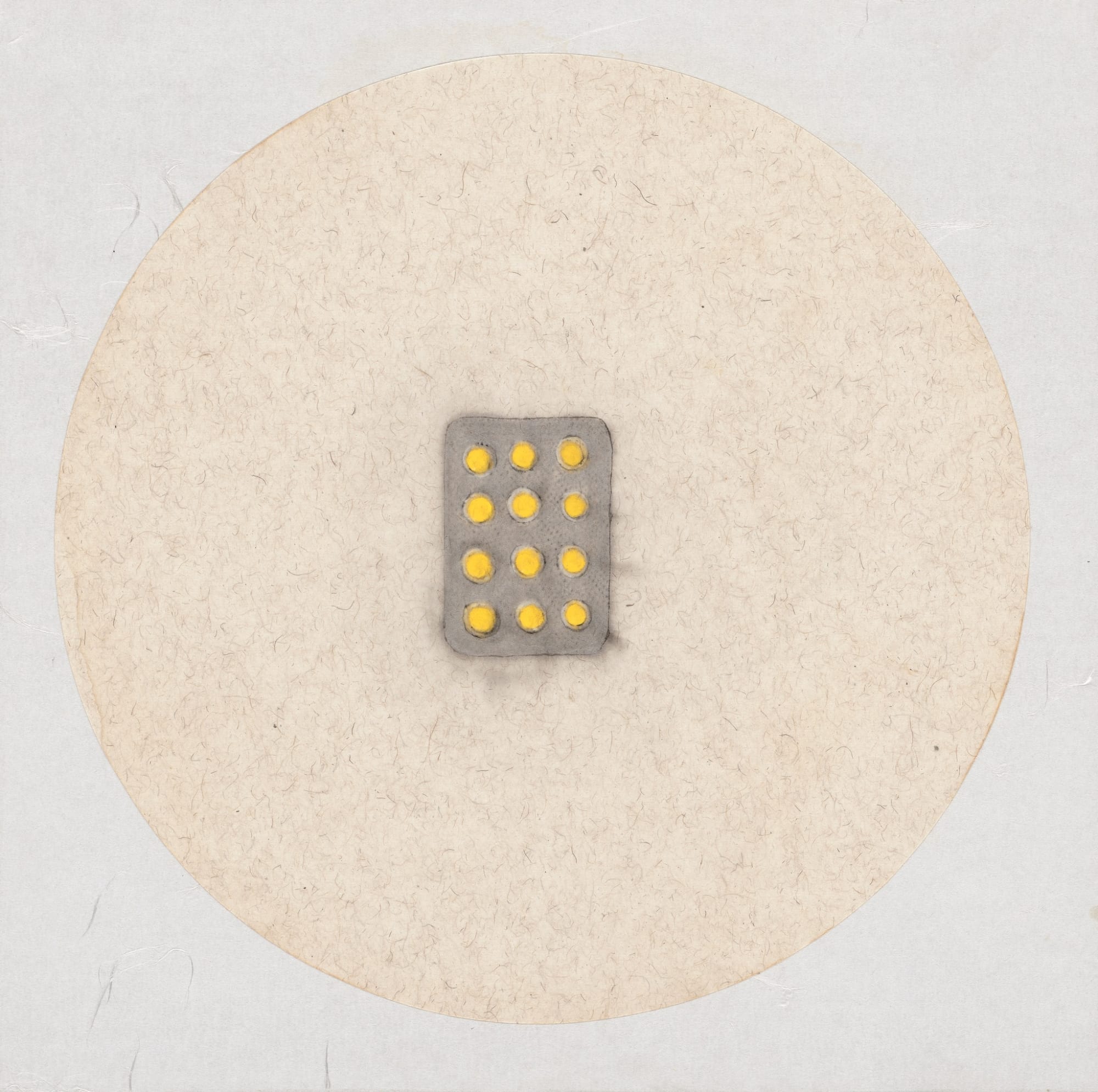 Zhang Yanzi 章燕紫, Registration (9) 掛號 (9), 2009-2013