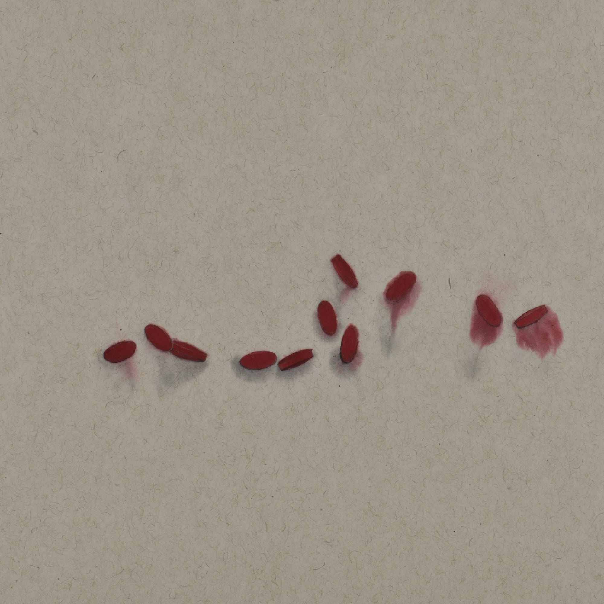 Zhang Yanzi 章燕紫, Registration (167) 掛號 (167), 2014