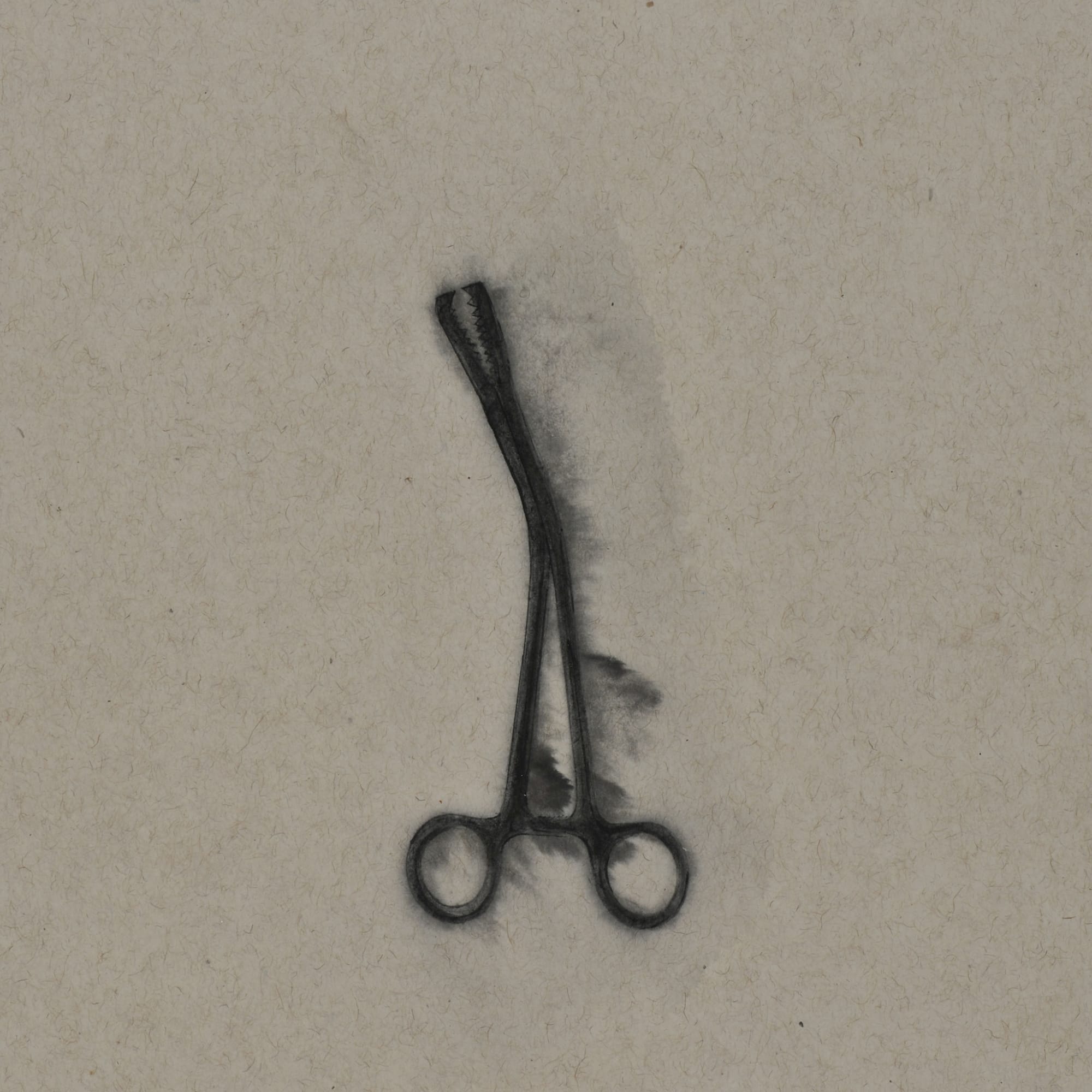 Zhang Yanzi 章燕紫, Registration (199) 掛號 (199), 2014