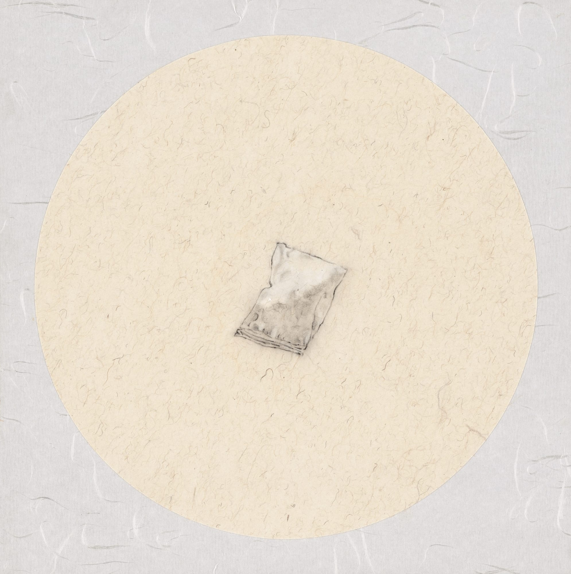 Zhang Yanzi 章燕紫, Registration (37) 掛號 (37), 2009-2013