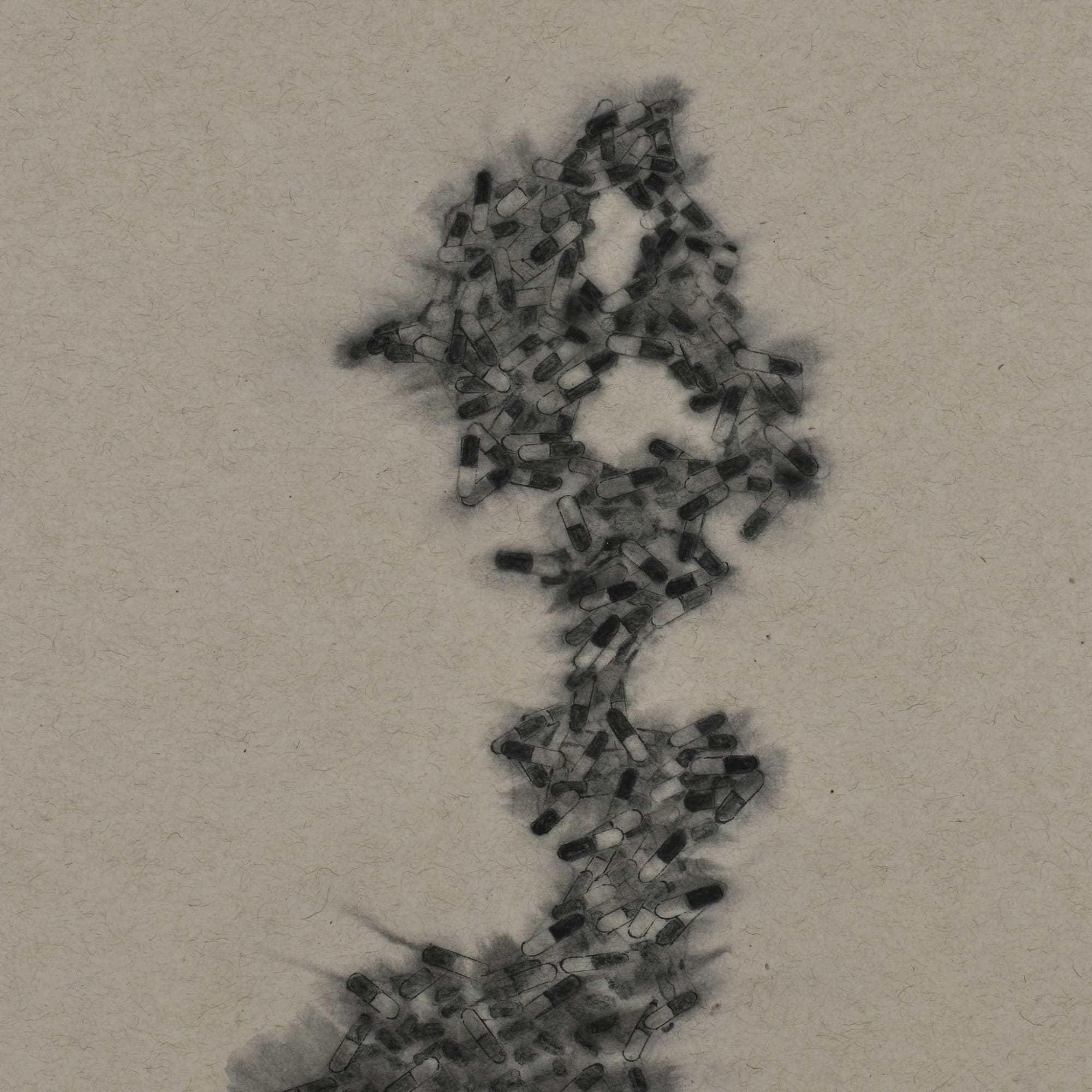Zhang Yanzi 章燕紫, Registration (156) 掛號 (156), 2014