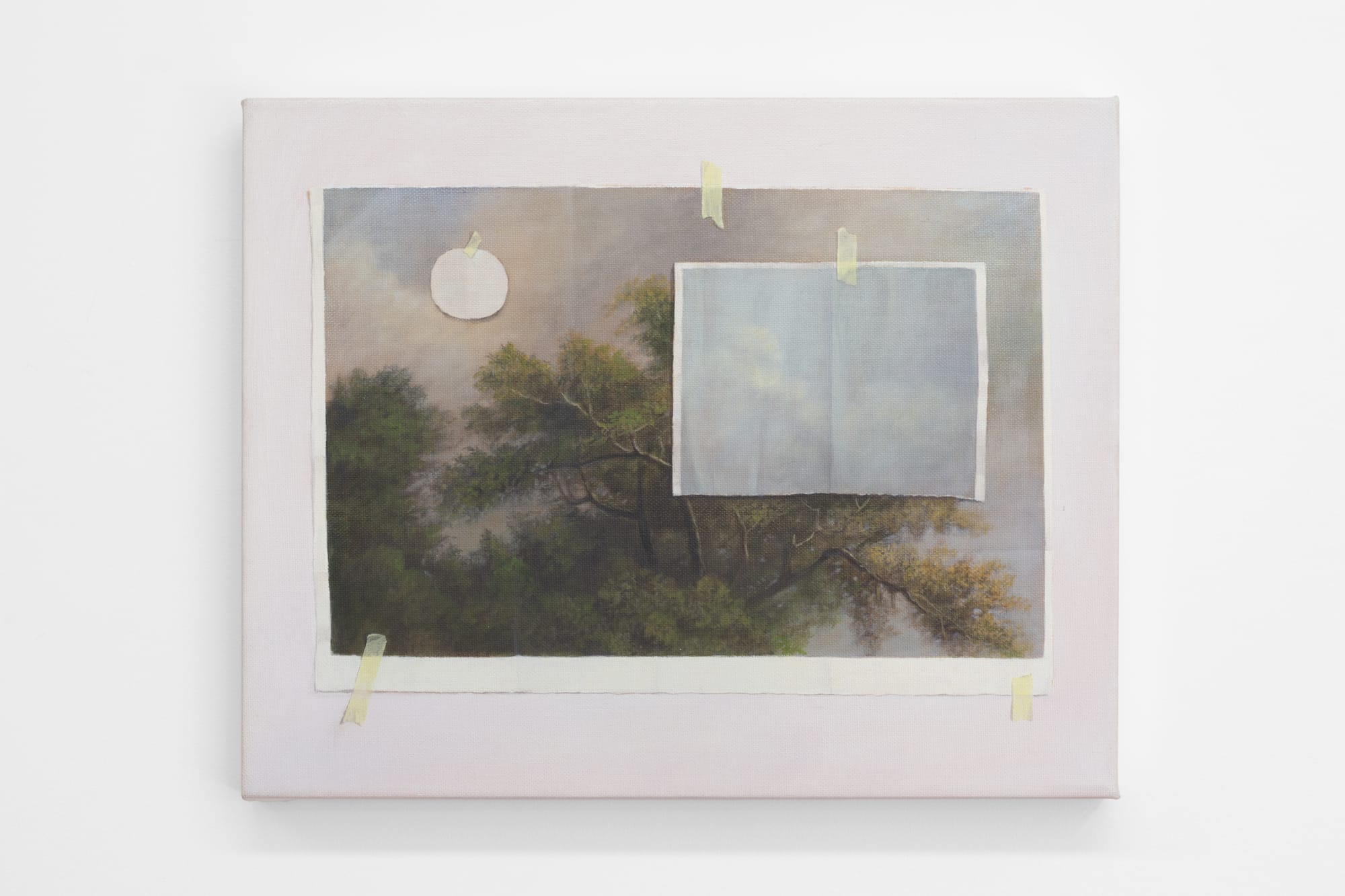 Emily Wolfe, Elevation, 2022