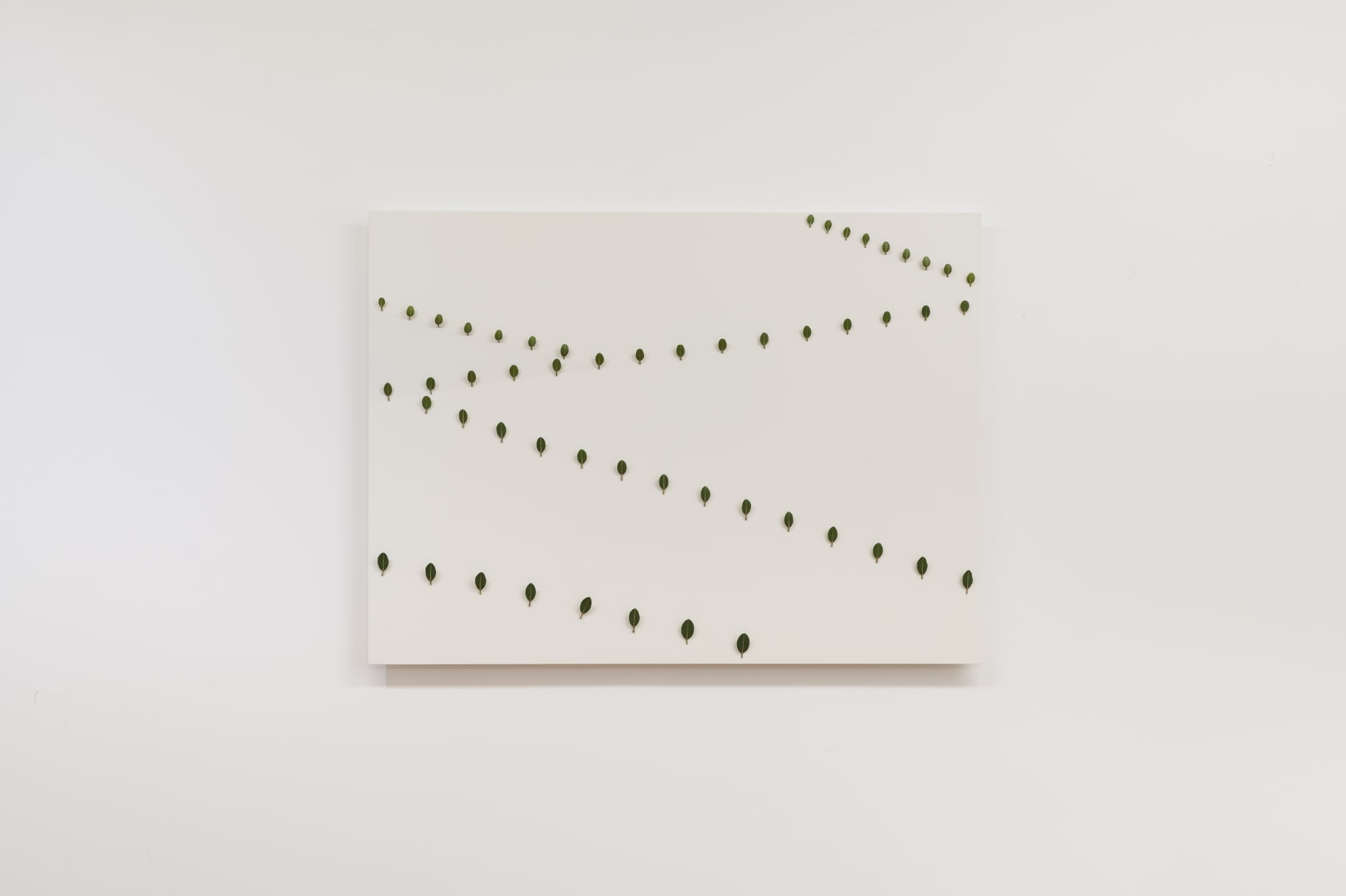 Elizabeth THOMSON, Thousand Acre Study III, 2004