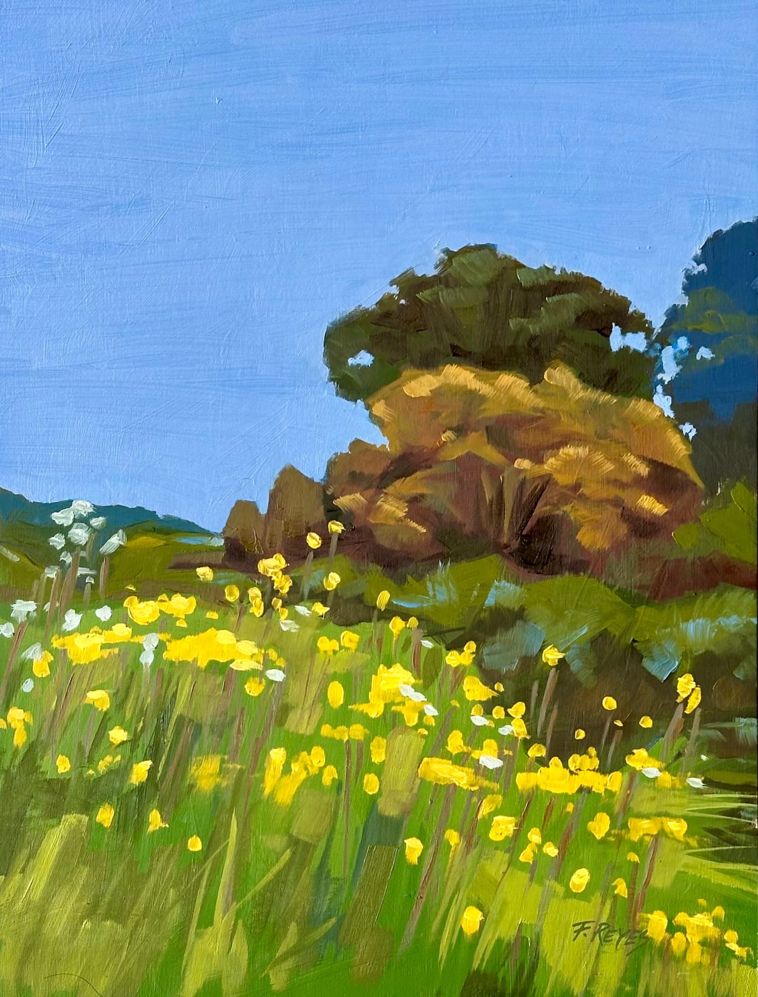 Fernando Reyes, Wild Flowers, 2025