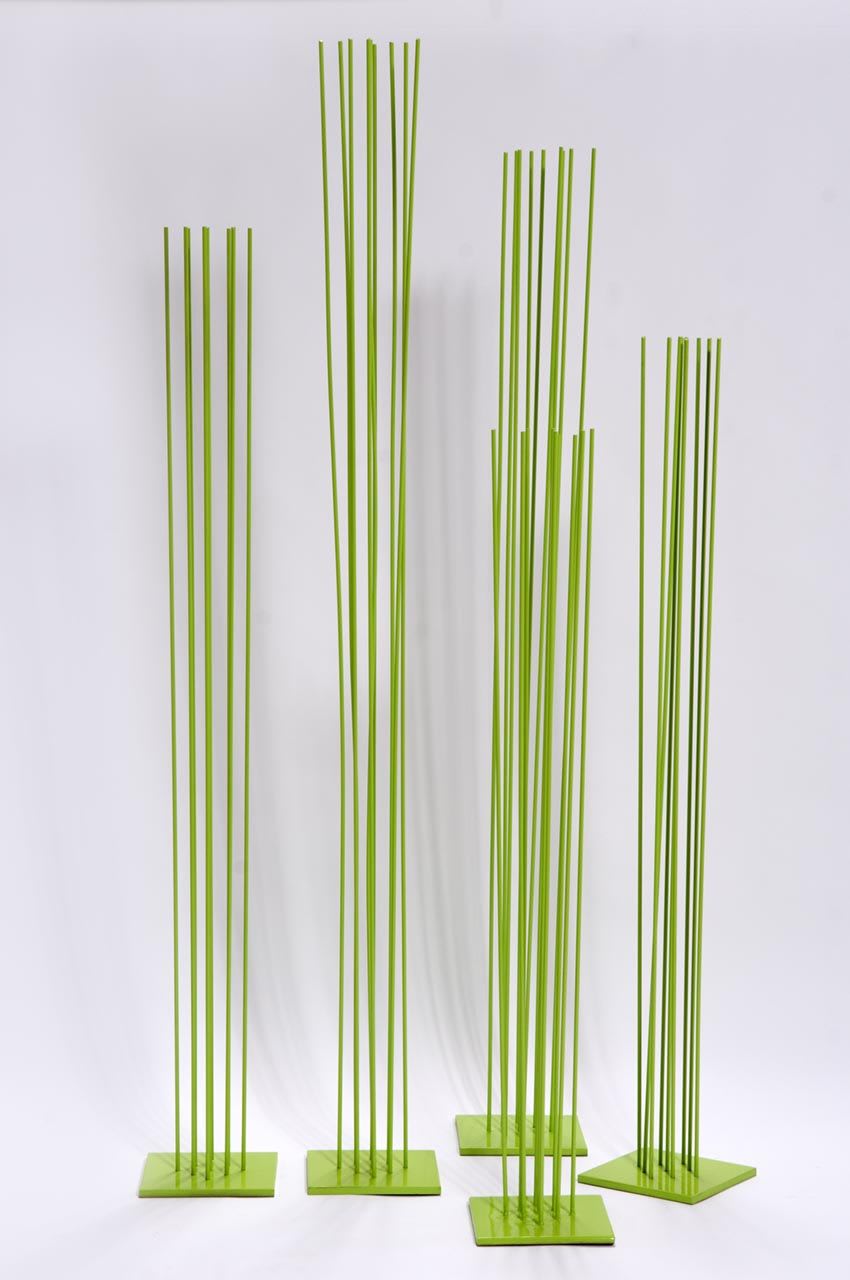 Carolina Sardi, Greener Grass, 2011