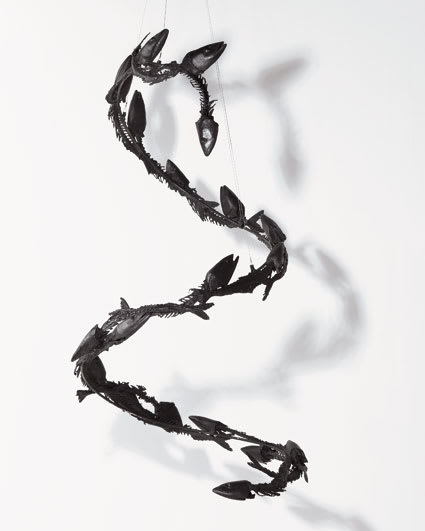 Abigail Fallis, Shoal de Lier, 2010