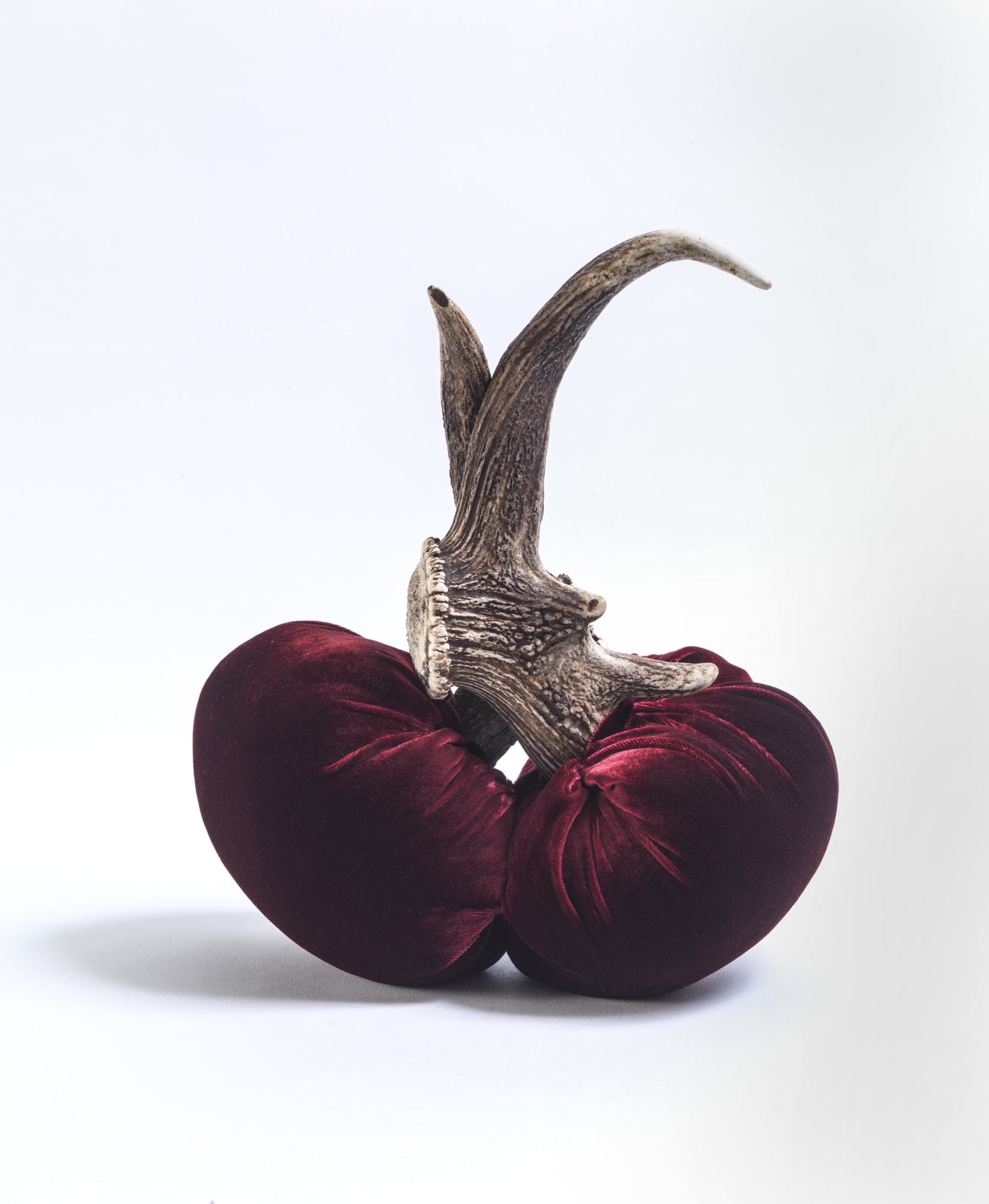 Susie MacMurray, Pan, 2018