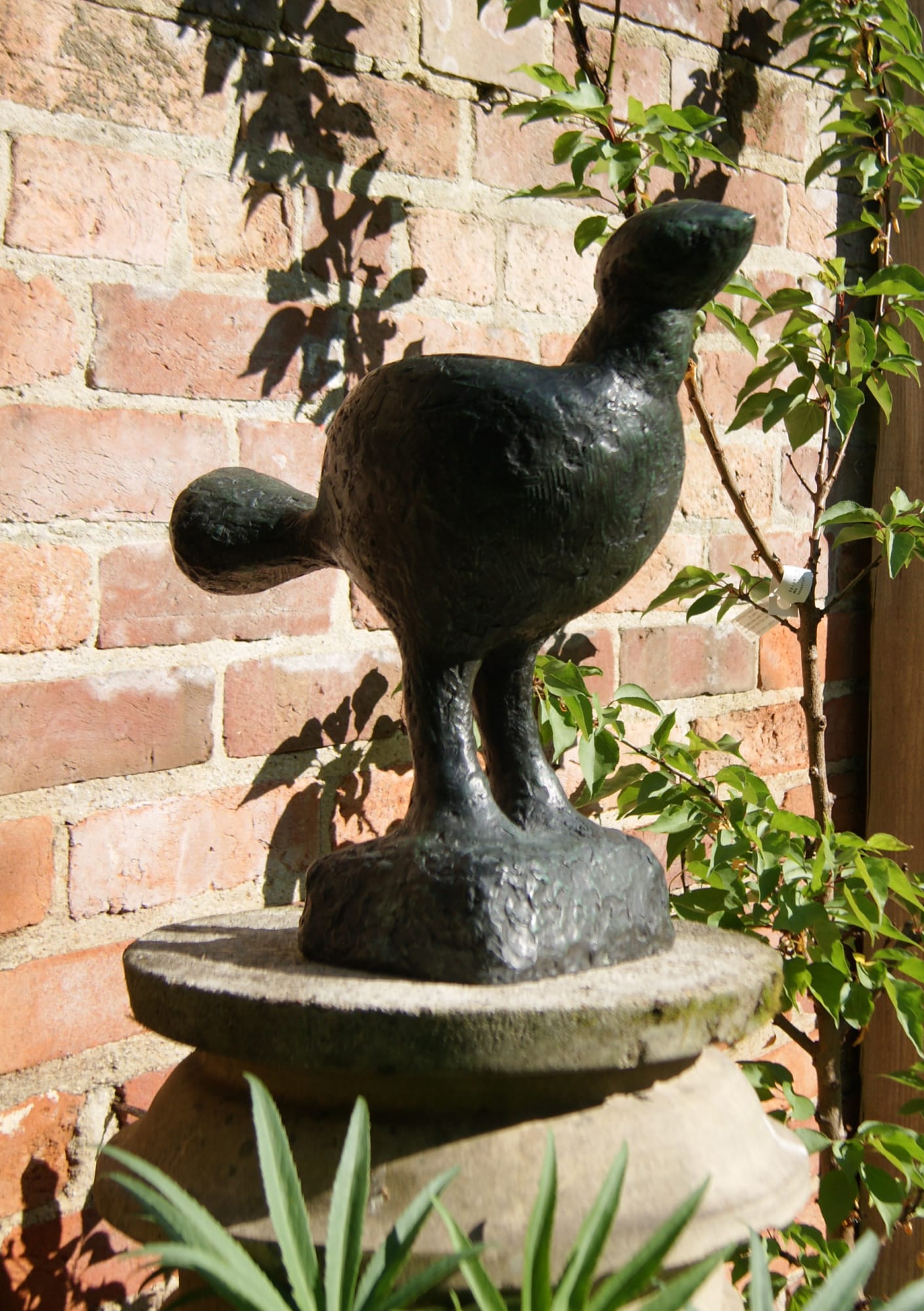 Breon O'Casey, Plump Bird, 2010