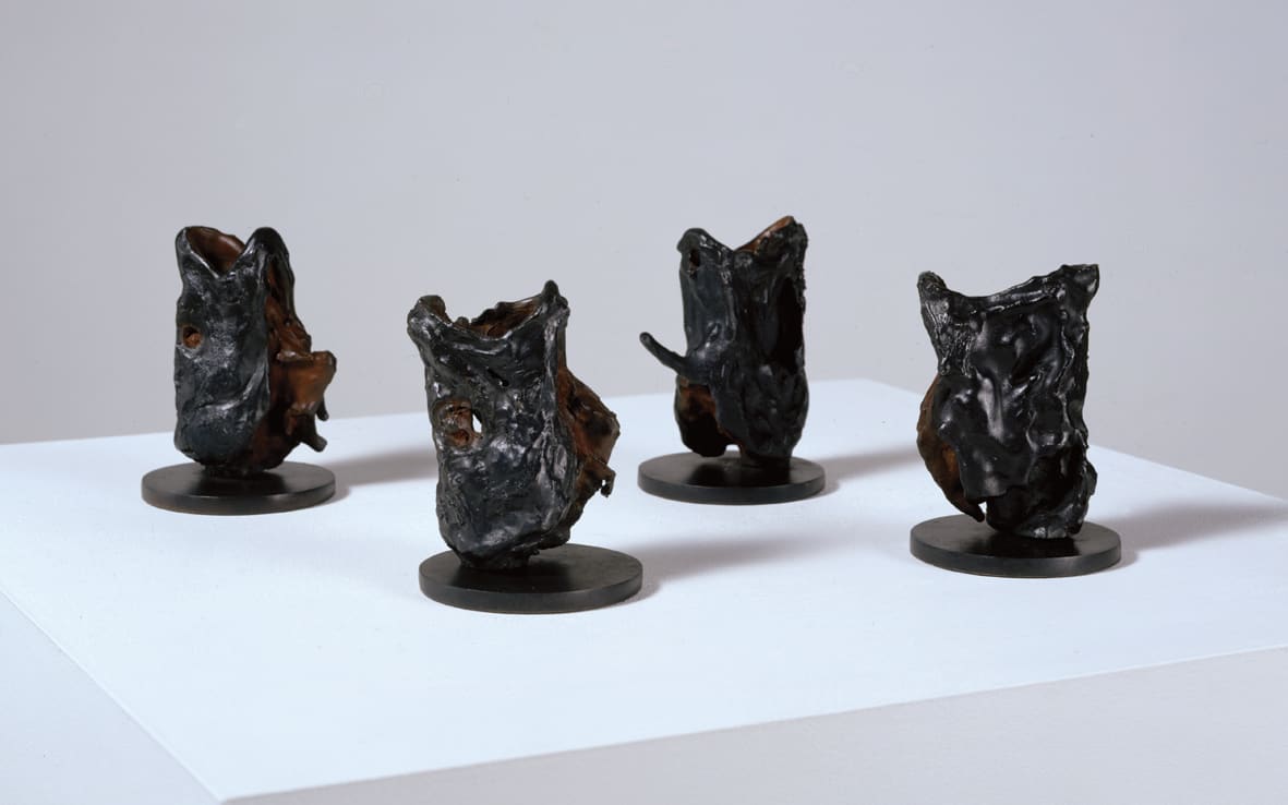 Abigail Fallis, Cod Heads