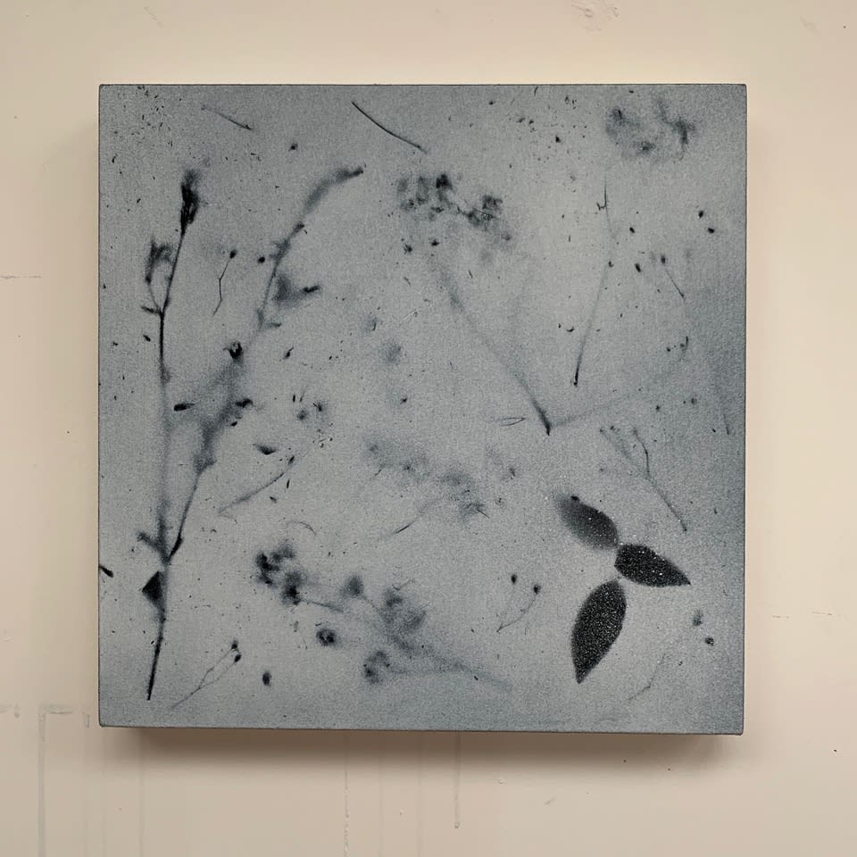 Rachel Howard, Weeds, 2019