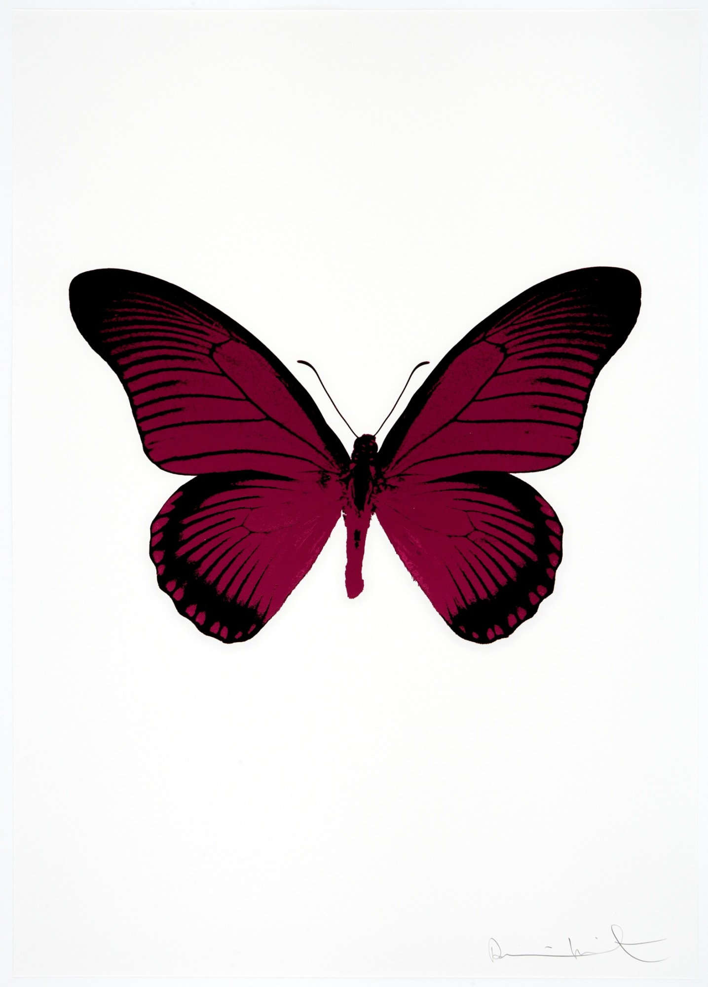 Damien Hirst, The Souls IV - Fuchsia Pink/Raven Black, 2010