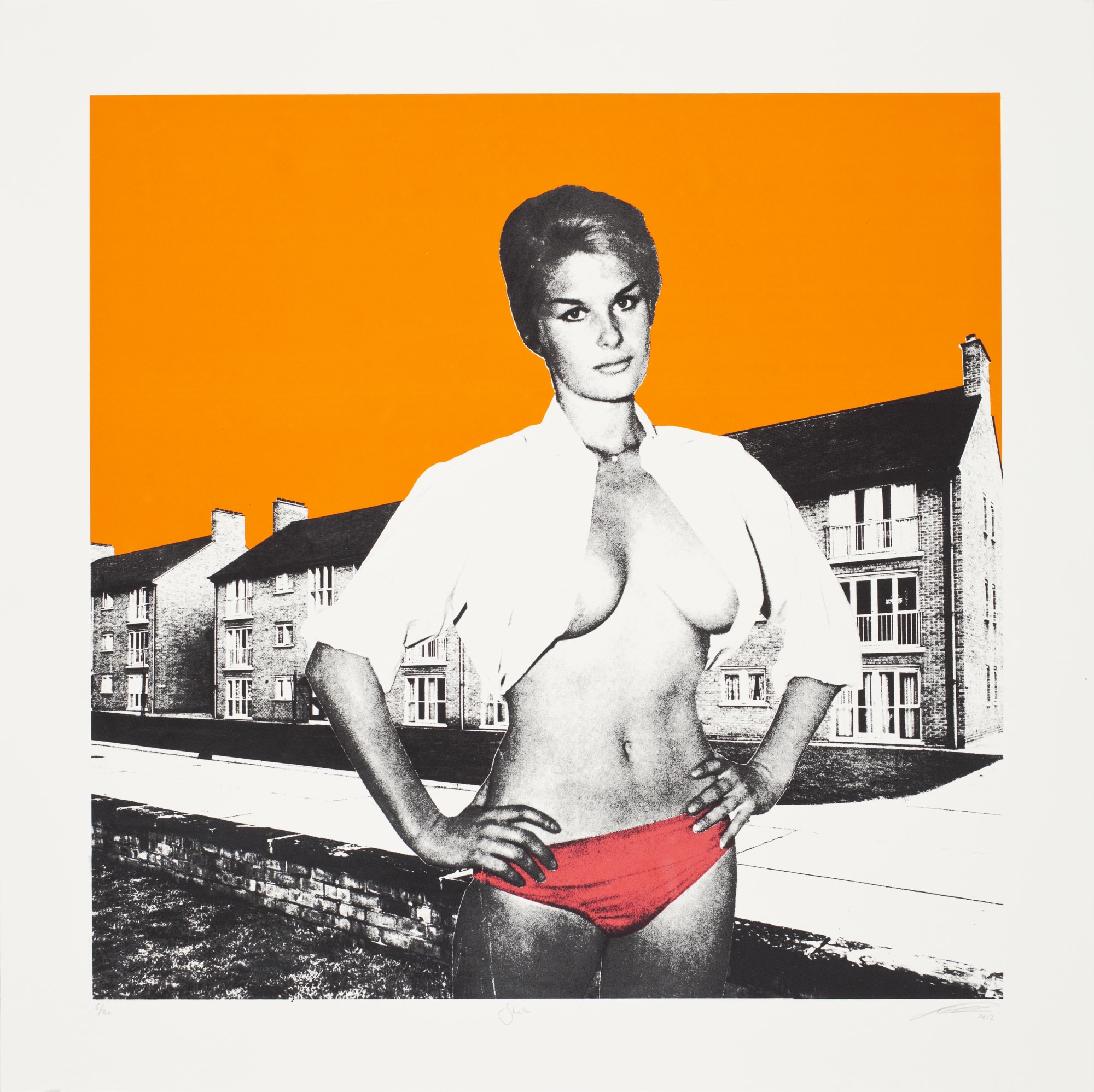 Sarah Hardacre, Shelia (abstract), 2010