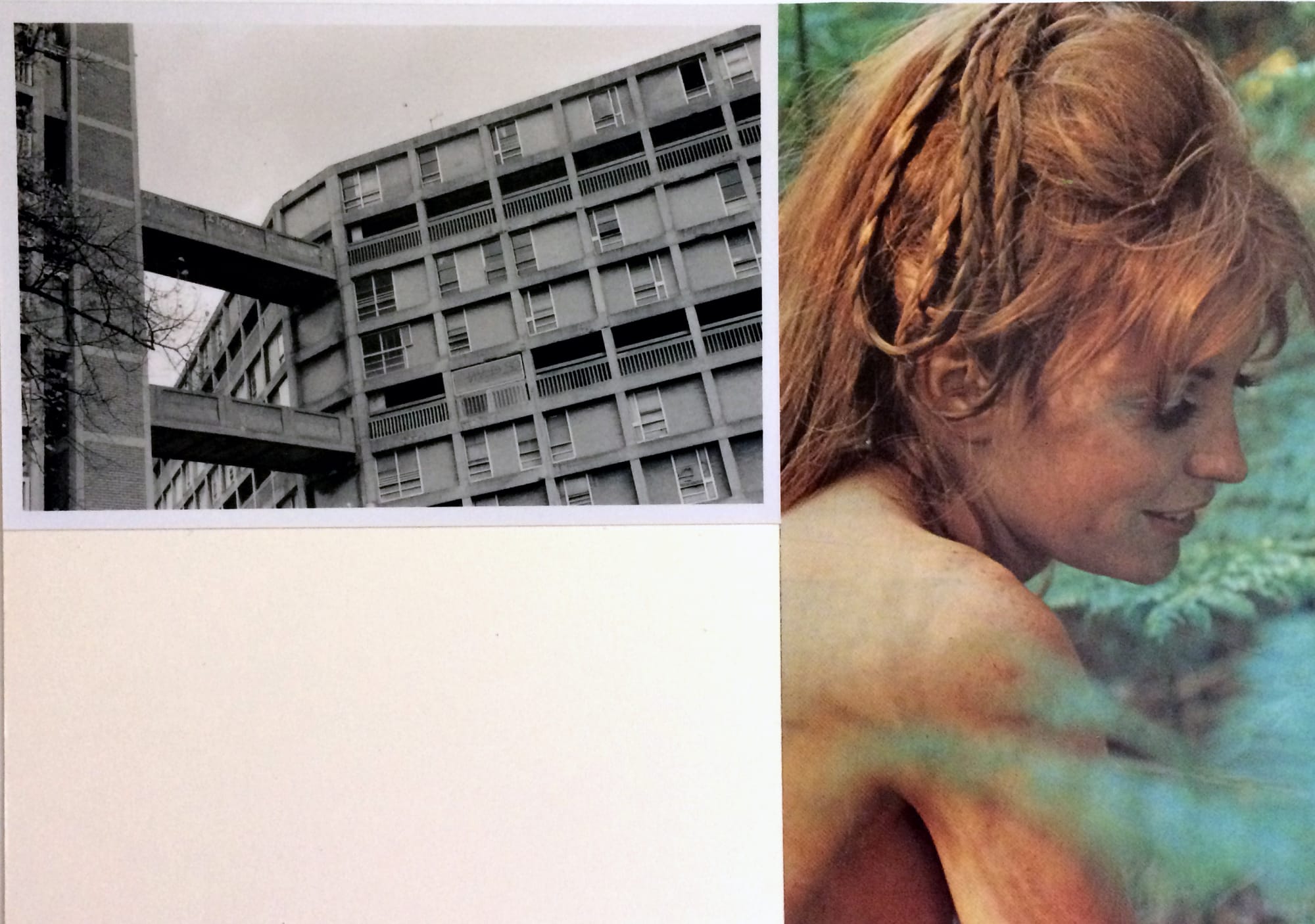 Sarah Hardacre, I took a walk in the woods and came out taller than the trees, 2020