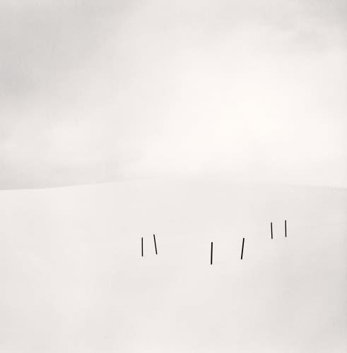 Michael Kenna, Asparagus Sticks, Study 3, Hokkaido, Japan., 2007