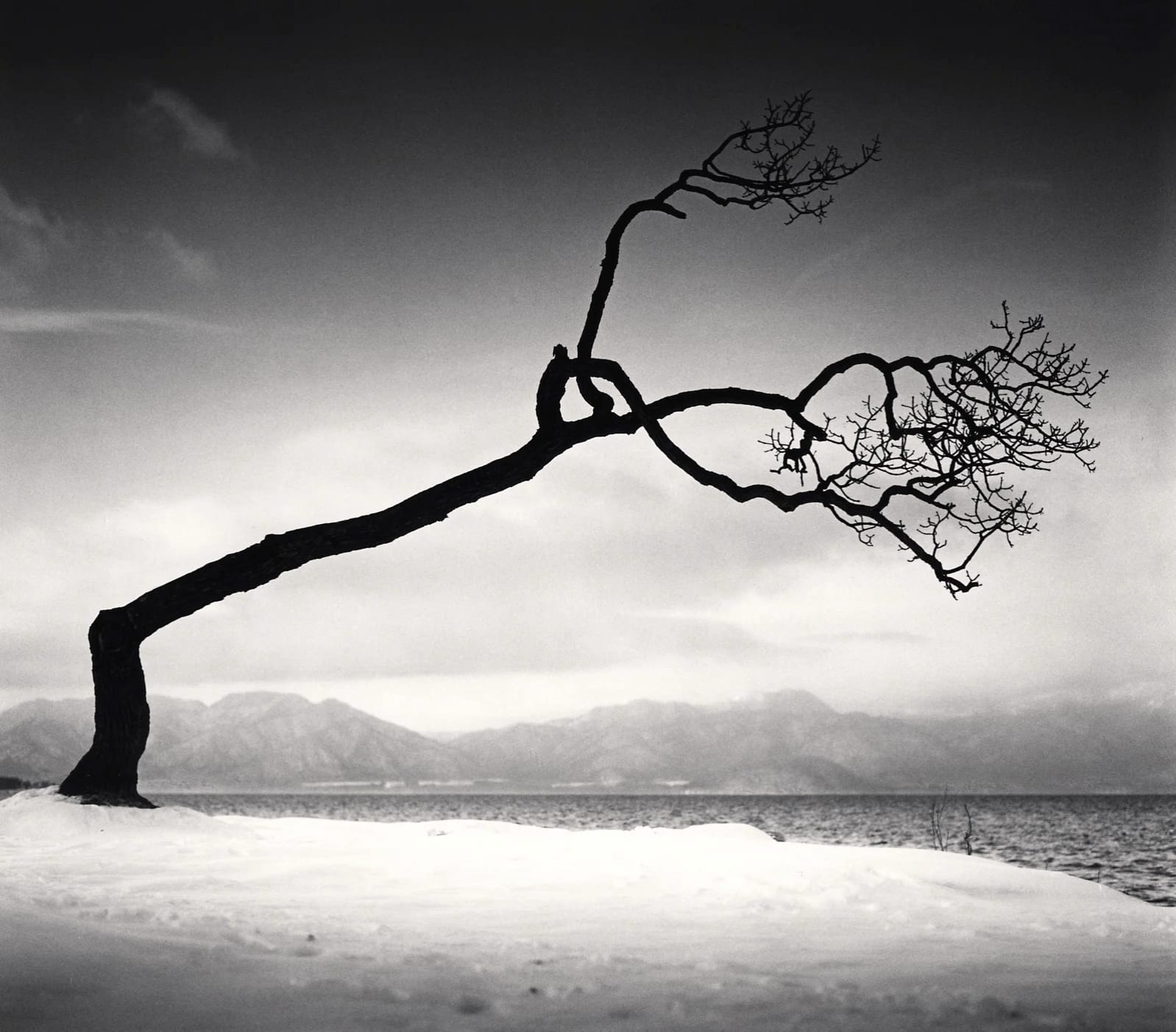 Michael Kenna, Kussharo Lake Tree, Study 16, Kotan, Hokkaido, 2009