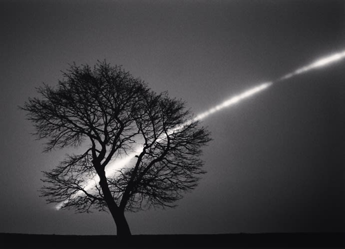 Michael Kenna, Sakura and Full Moon, Study 1, Urakawa, Hokkaido, Japan., 2015