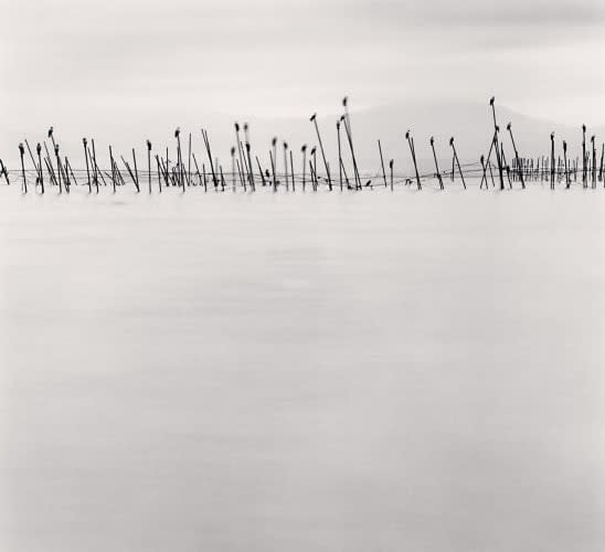 Michael Kenna, Birds on Poles, Biwa Lake, Honshu, Japan,, 2001
