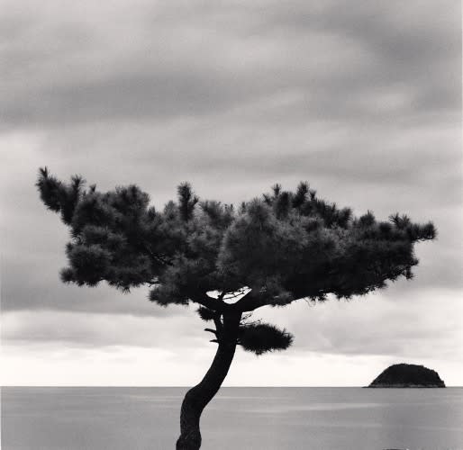 Michael Kenna, Pine Tree and Nago Island, Tsuda, Shikoku, Japan., 2022