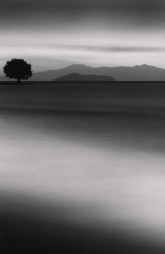 Michael Kenna, Biwa Lake Tree, Study 1, Omi, Honshu, Japan., 2001