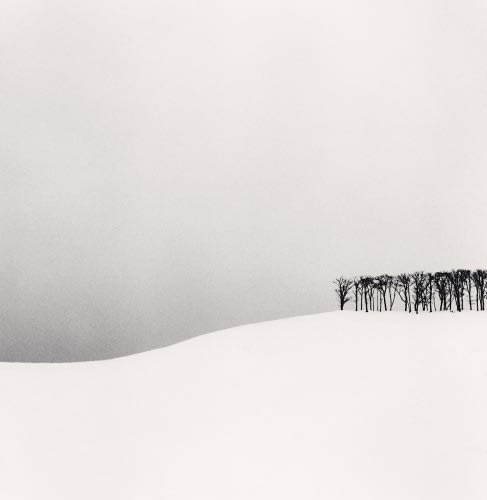 Michael Kenna, Hilltop Trees, Study 1, Teshikaga, Hokkaido, Japan., 2003