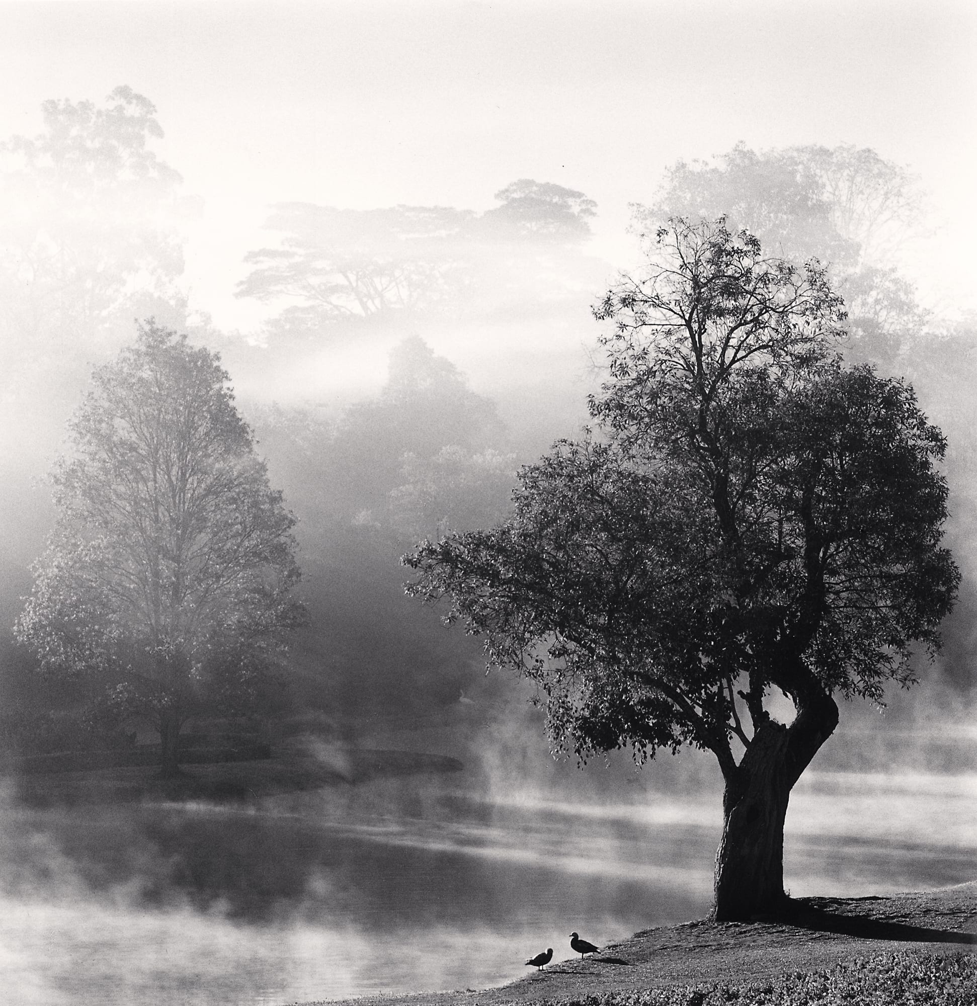 Michael Kenna, Morning Mists, Pyin U Lwin, 2019