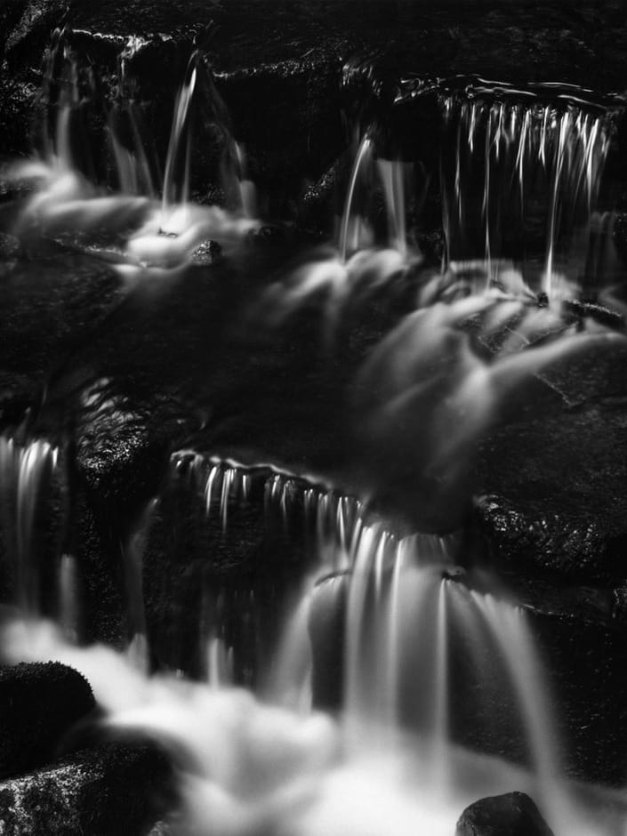 Ansel Adams, Fern Spring Dusk, Yosemite Valley, CA, 1961 (Printed 1974)