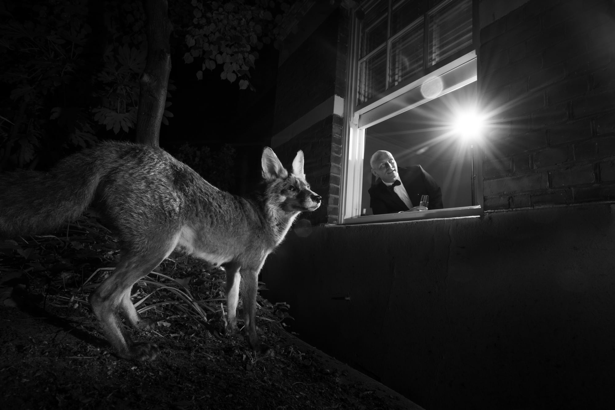 Graeme Purdy, If Wildlife could be my friends