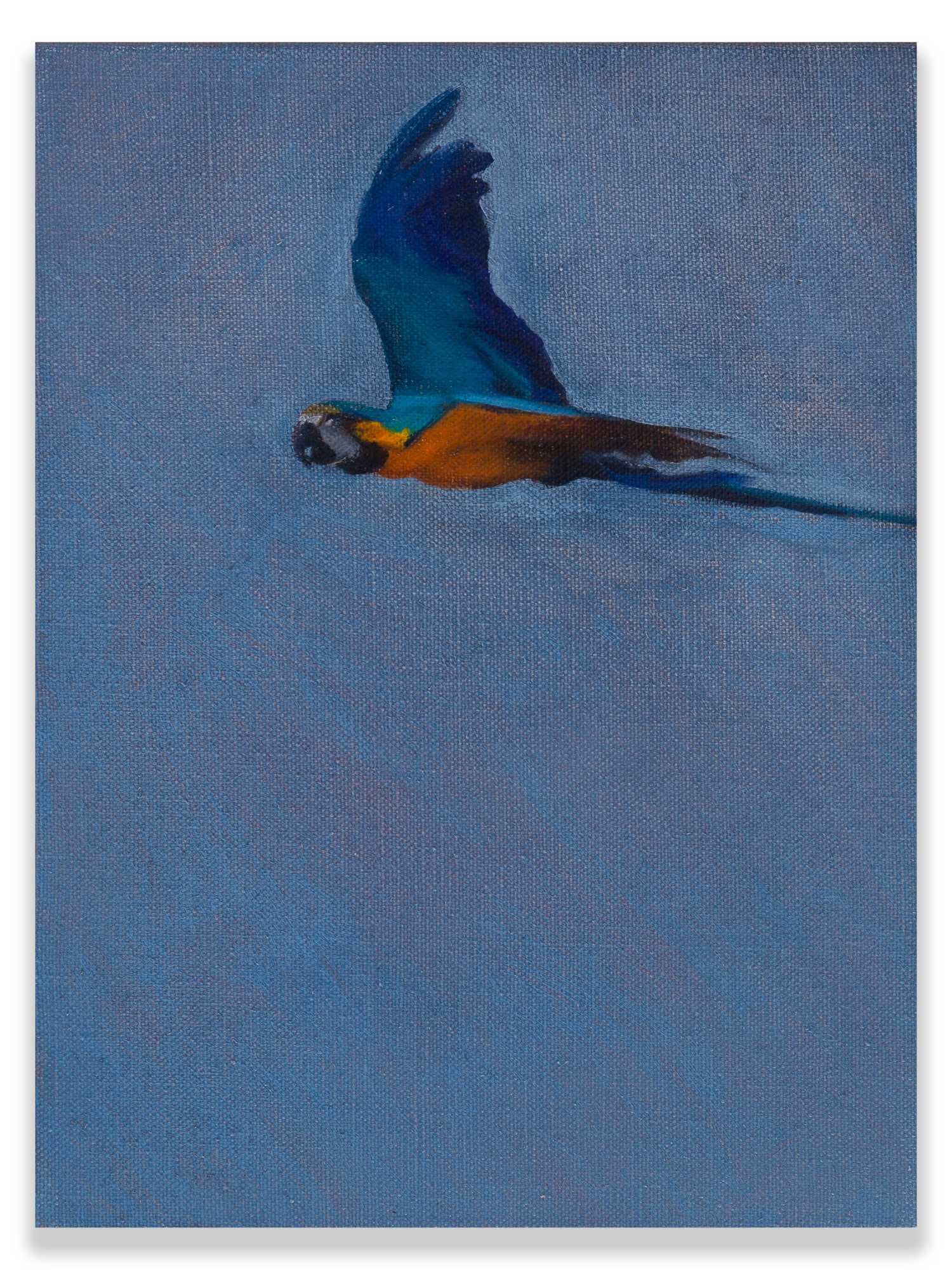 KENTMANN, MATTHEW, Blue & Gold 4, 2019