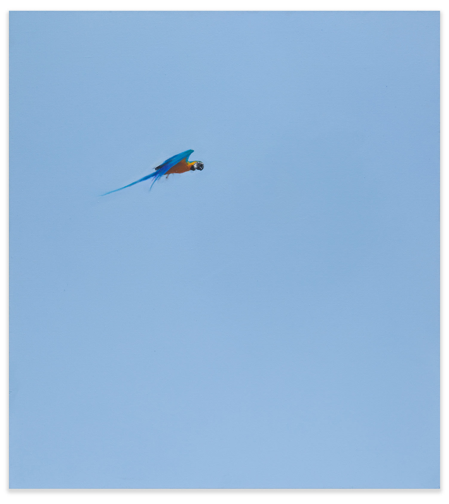 KENTMANN, MATTHEW, Blue & Gold 7, 2019