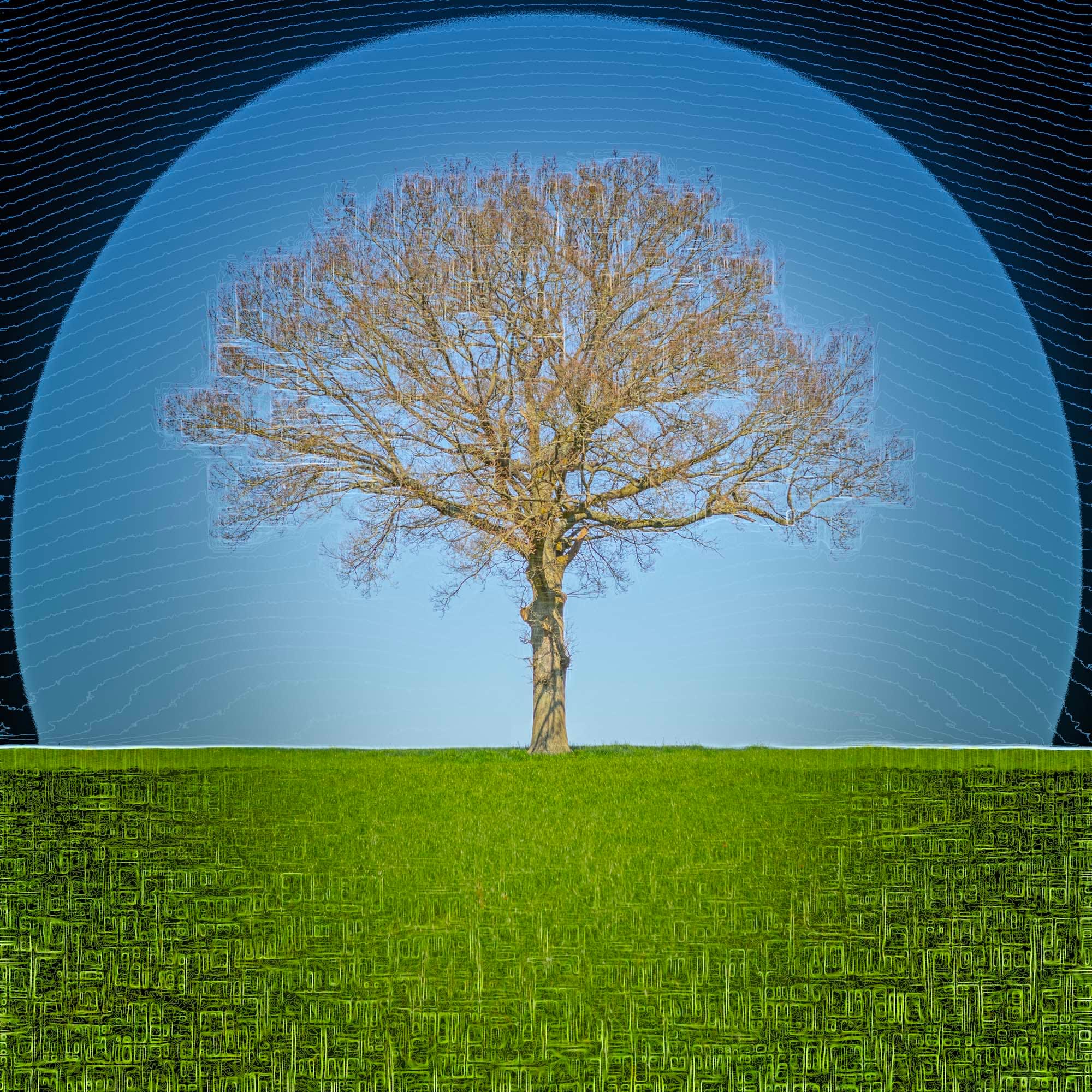 Duncan Wade, Dawn, 2023