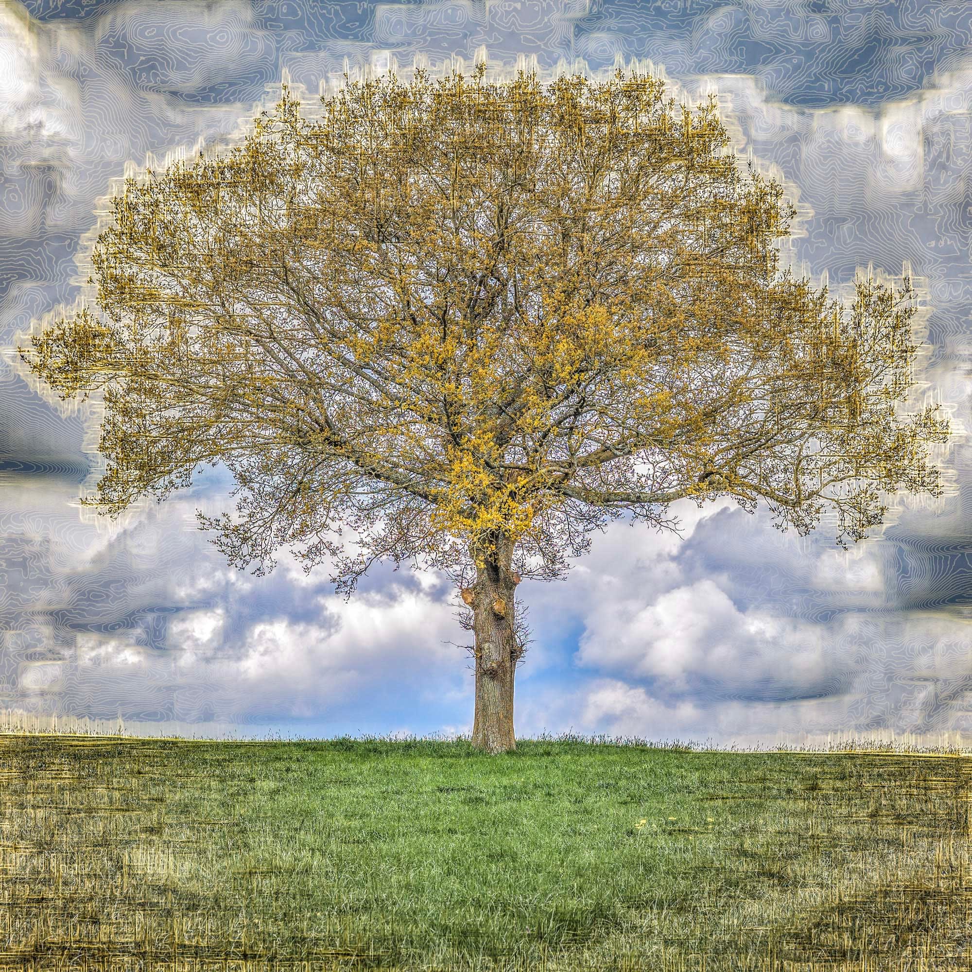 Duncan Wade, Spring, 2023