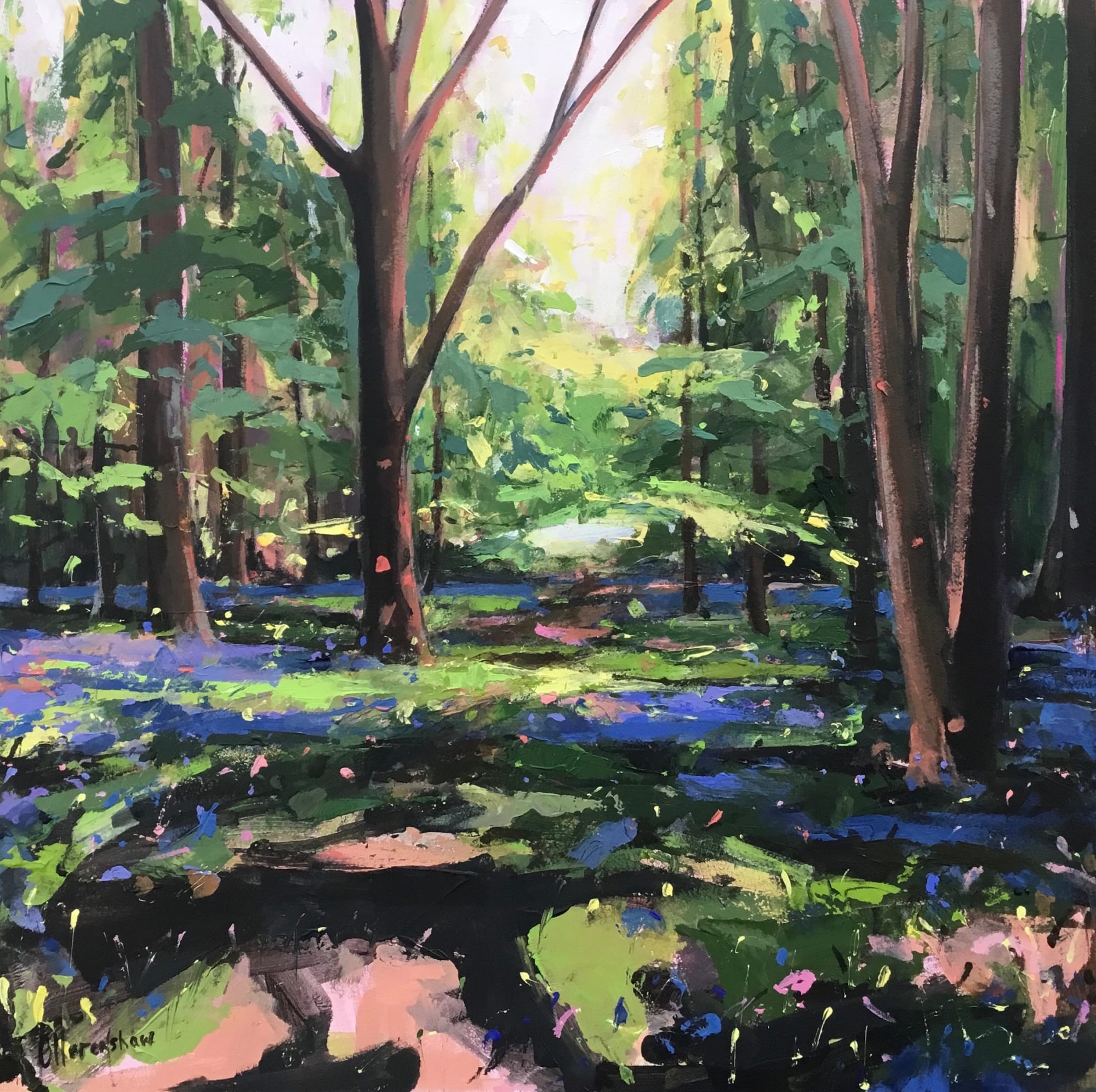 Sarah Ollerenshaw, Let the Whole Earth Sing