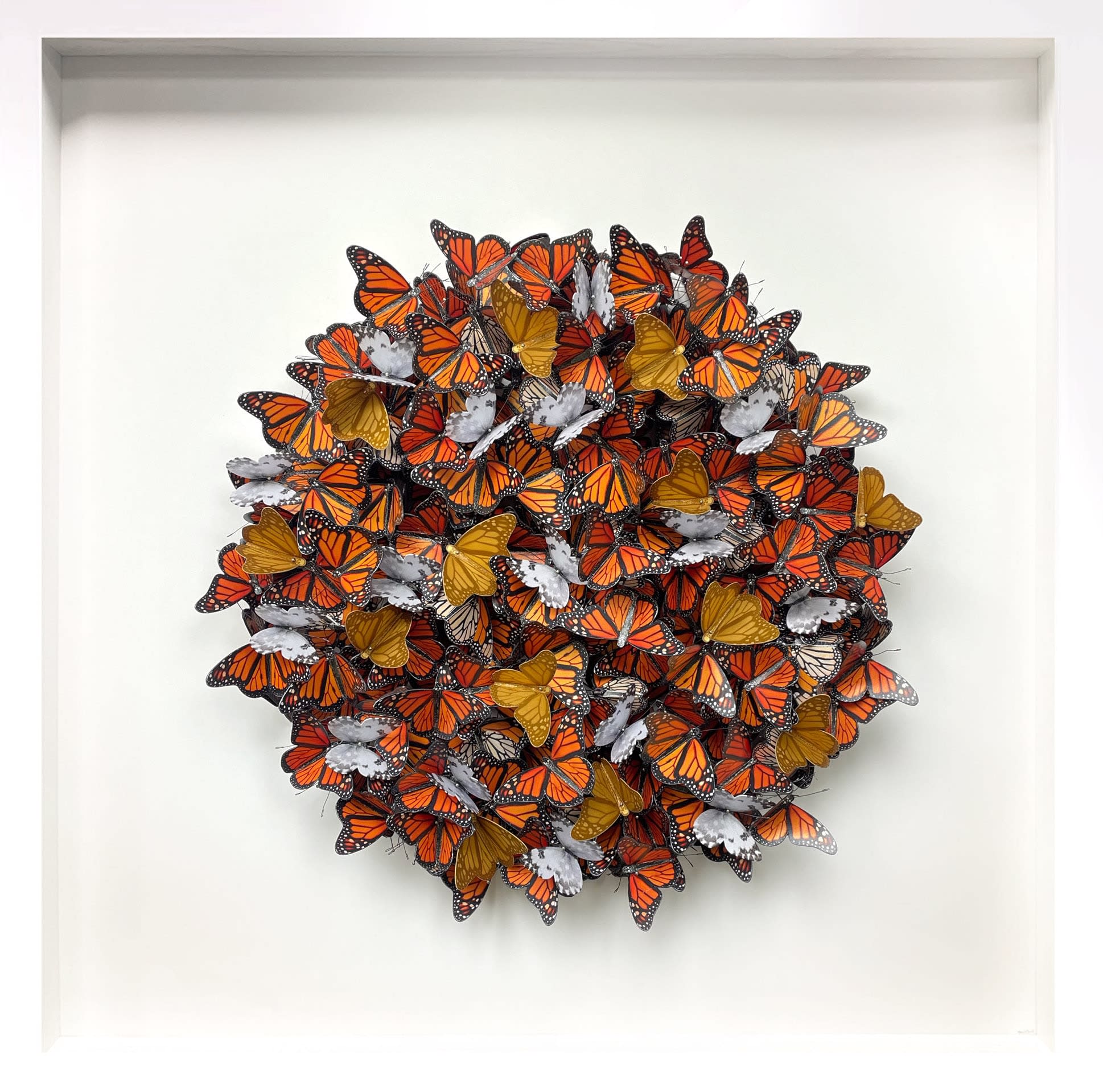 Daniel Byrne, Autumn Cluster