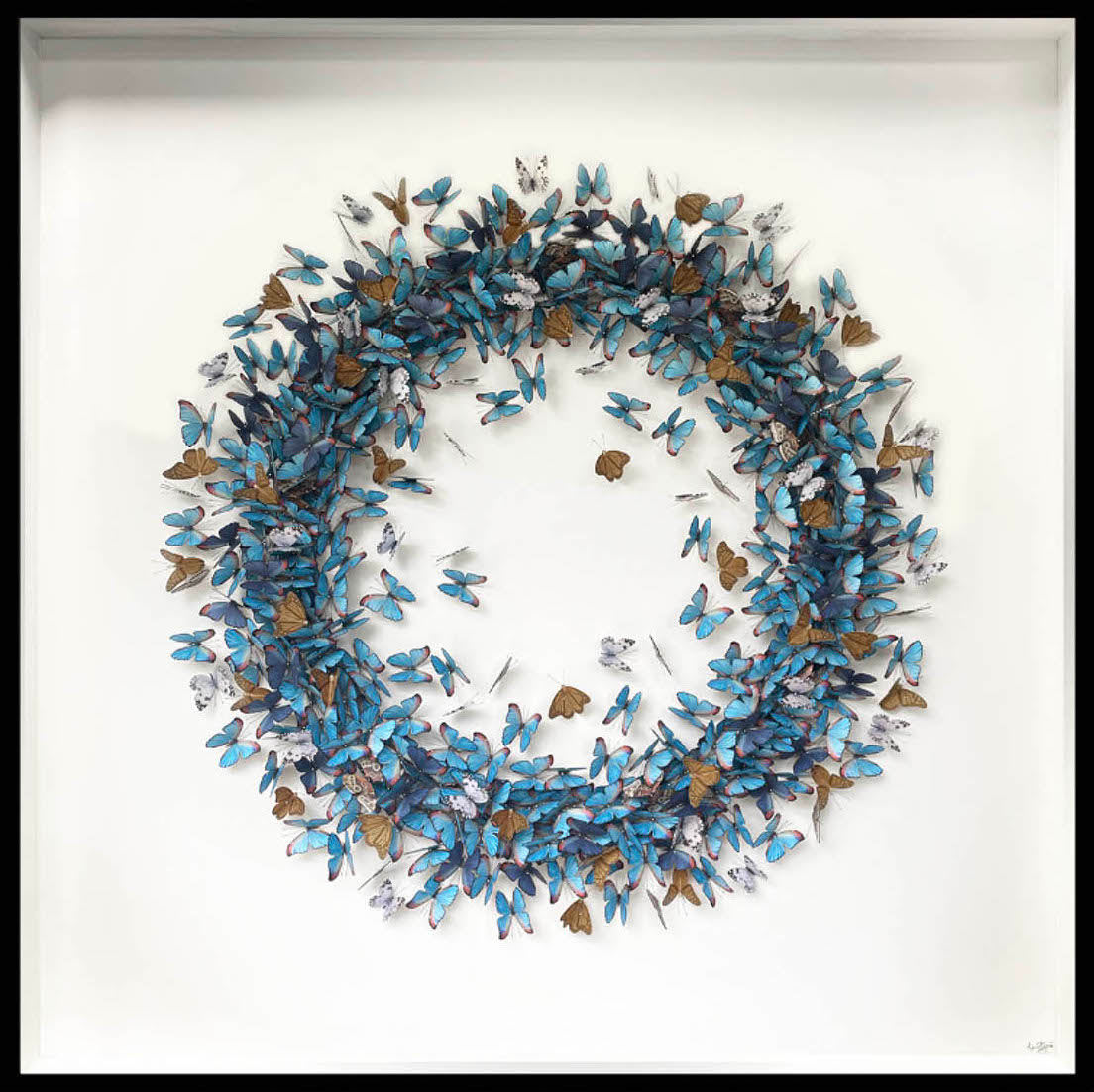 Daniel Byrne, Band of Blue