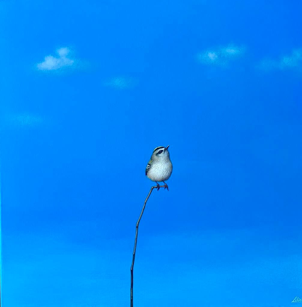 Lilia Mazurkevich, Cordelia, 2023