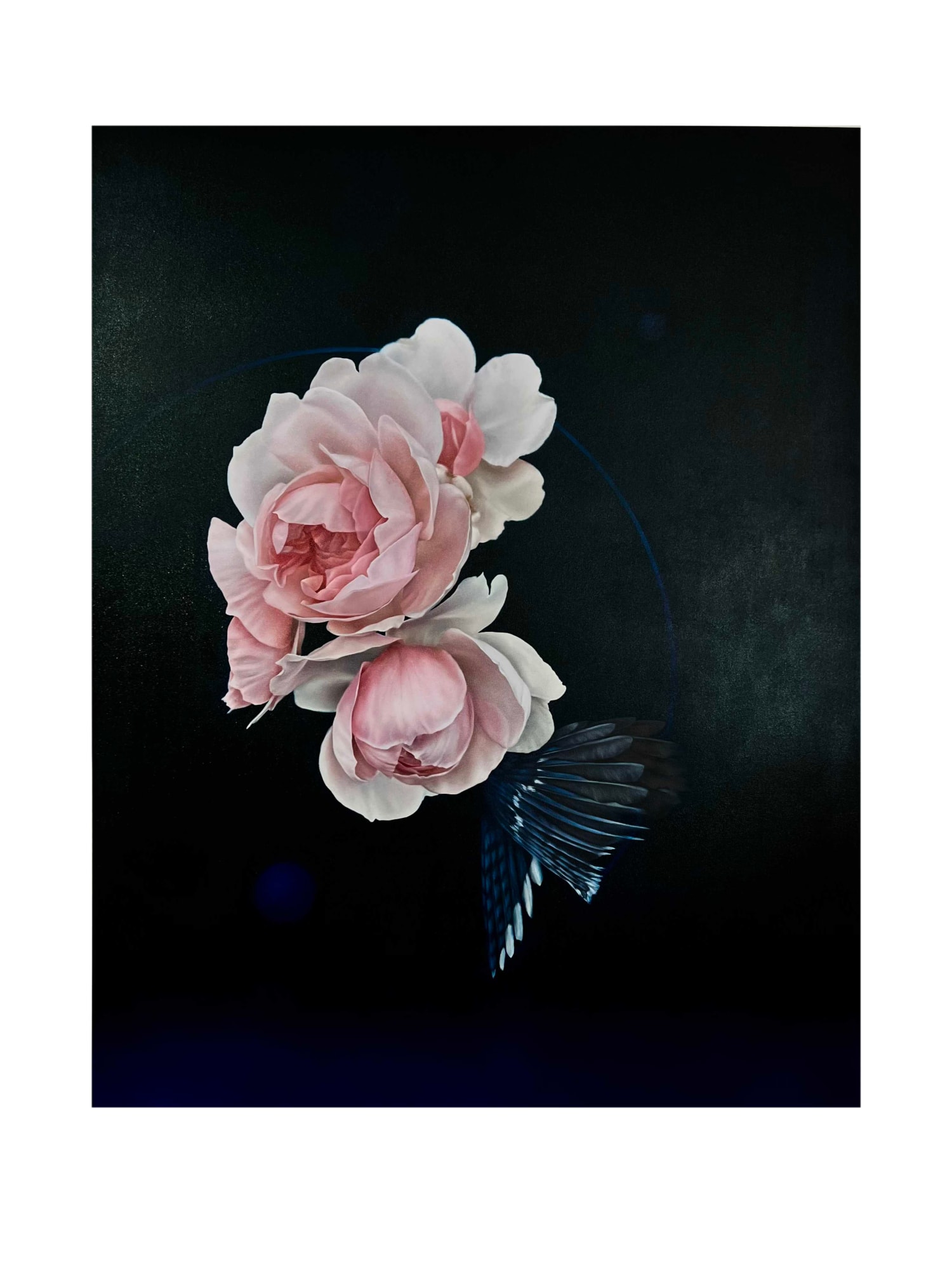 Yuki Aruga, Night Deepens, 2023