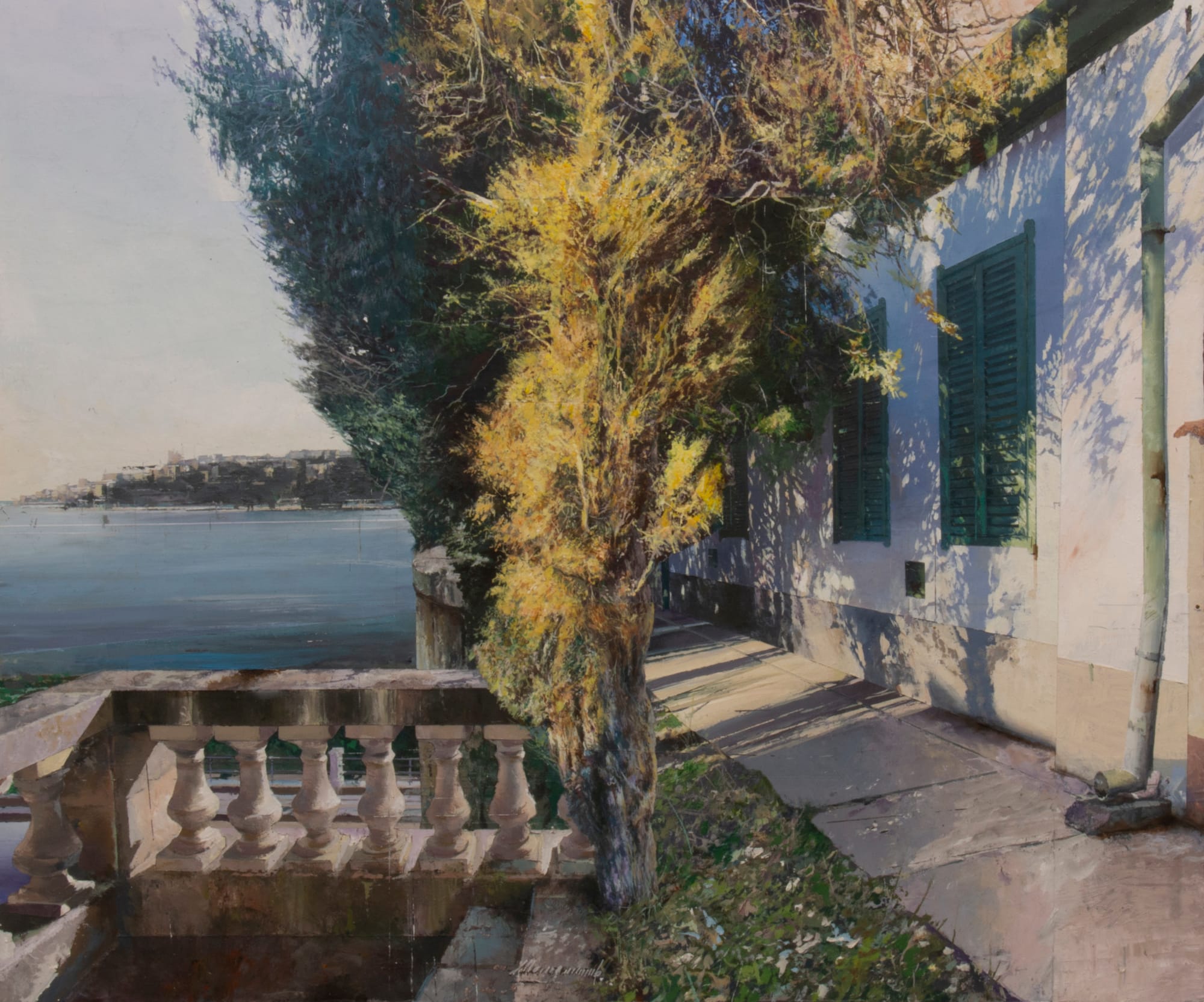 Matteo Massagrande, Cipresso, 2022